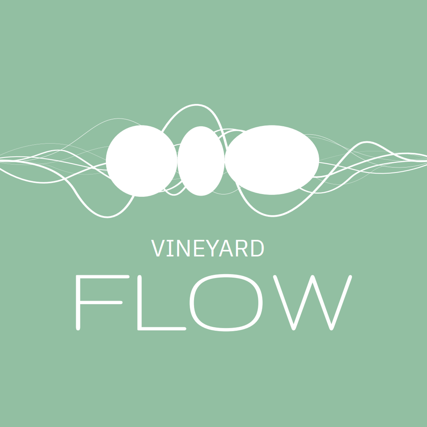 Vineyard Flow (english)