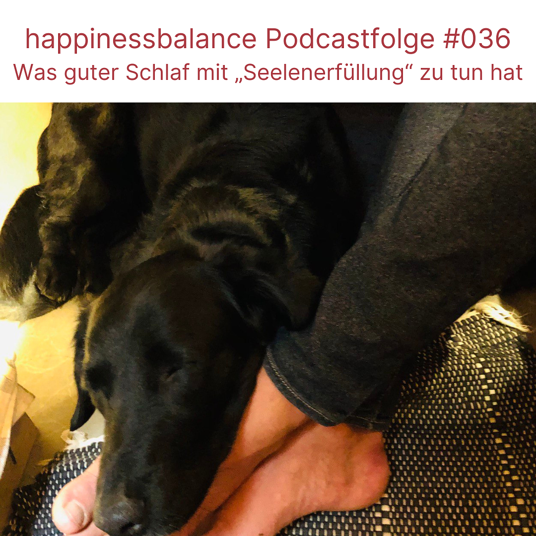 #036 Was guter Schlaf mit „Seelenerfüllung“ zu tun hat episode artwork