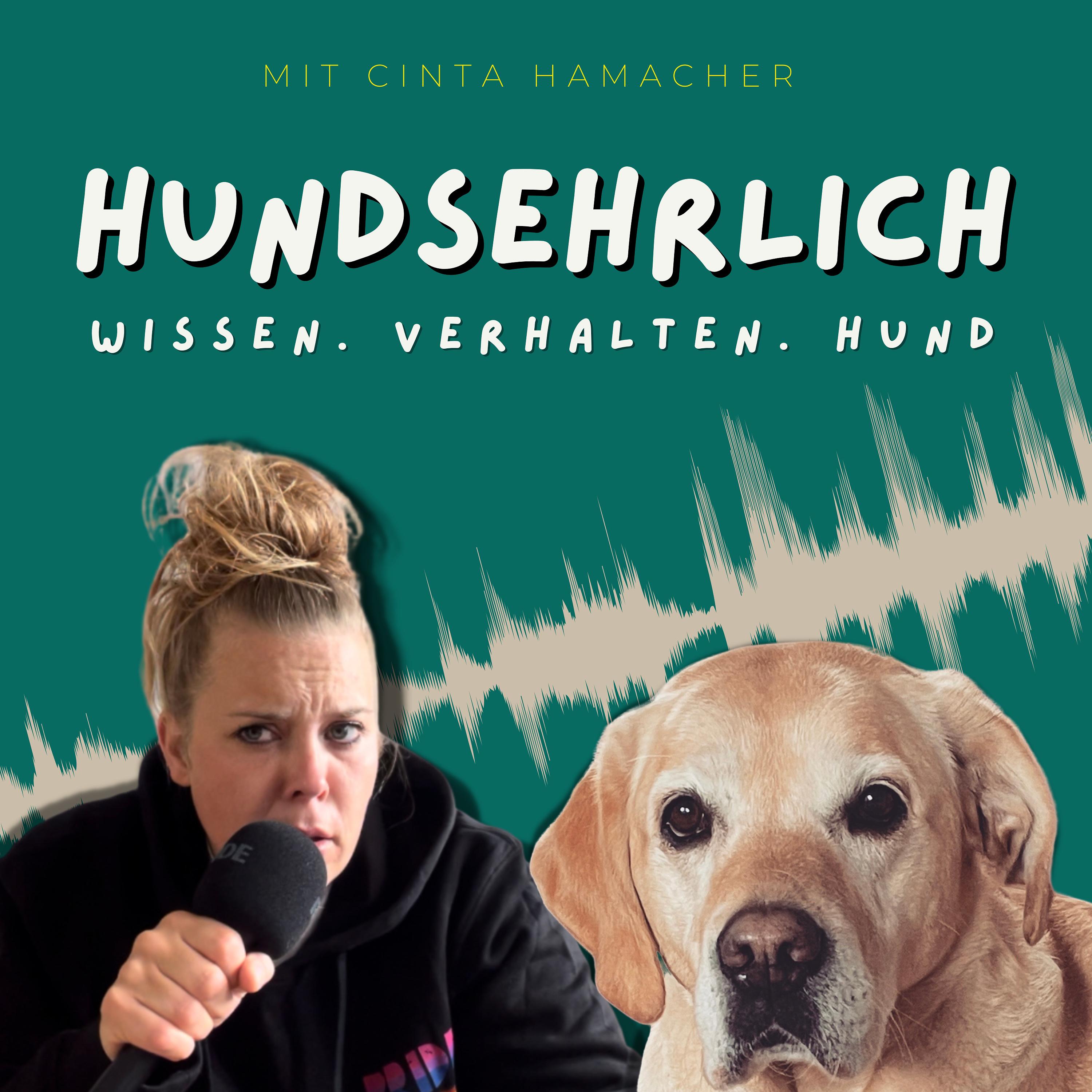 Hundsehrlich - Wissen. Verhalten. Hund