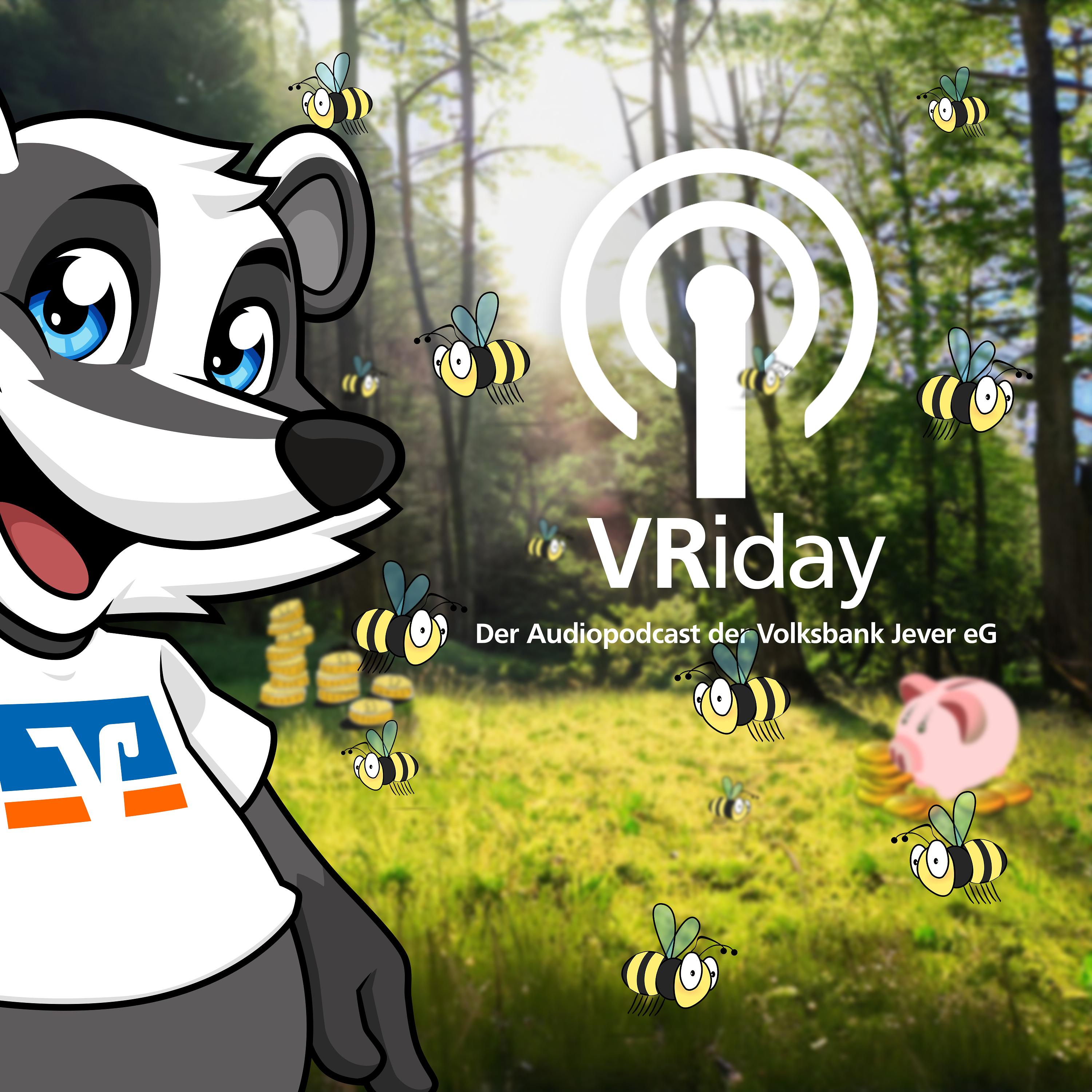 VRiday