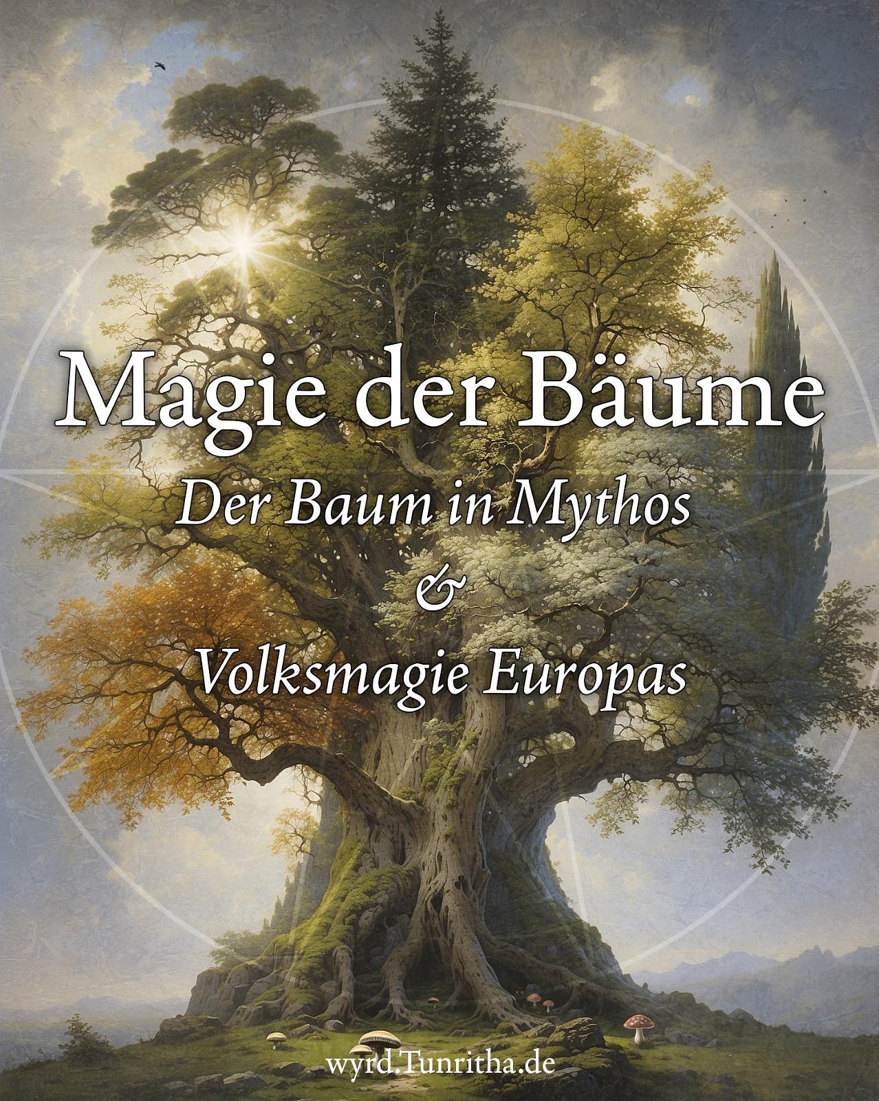 Magie der Bäume episode artwork