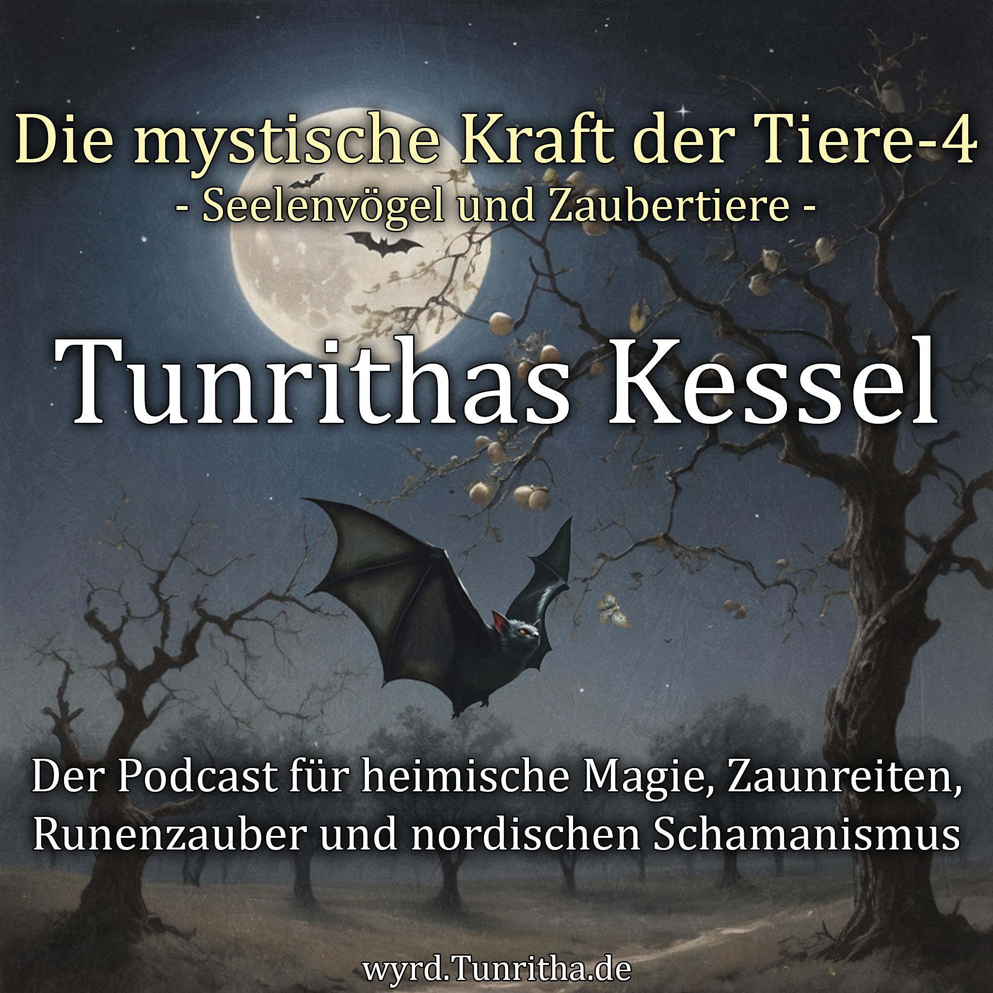 Die mystische Kraft der Tiere - Teil 4 episode artwork