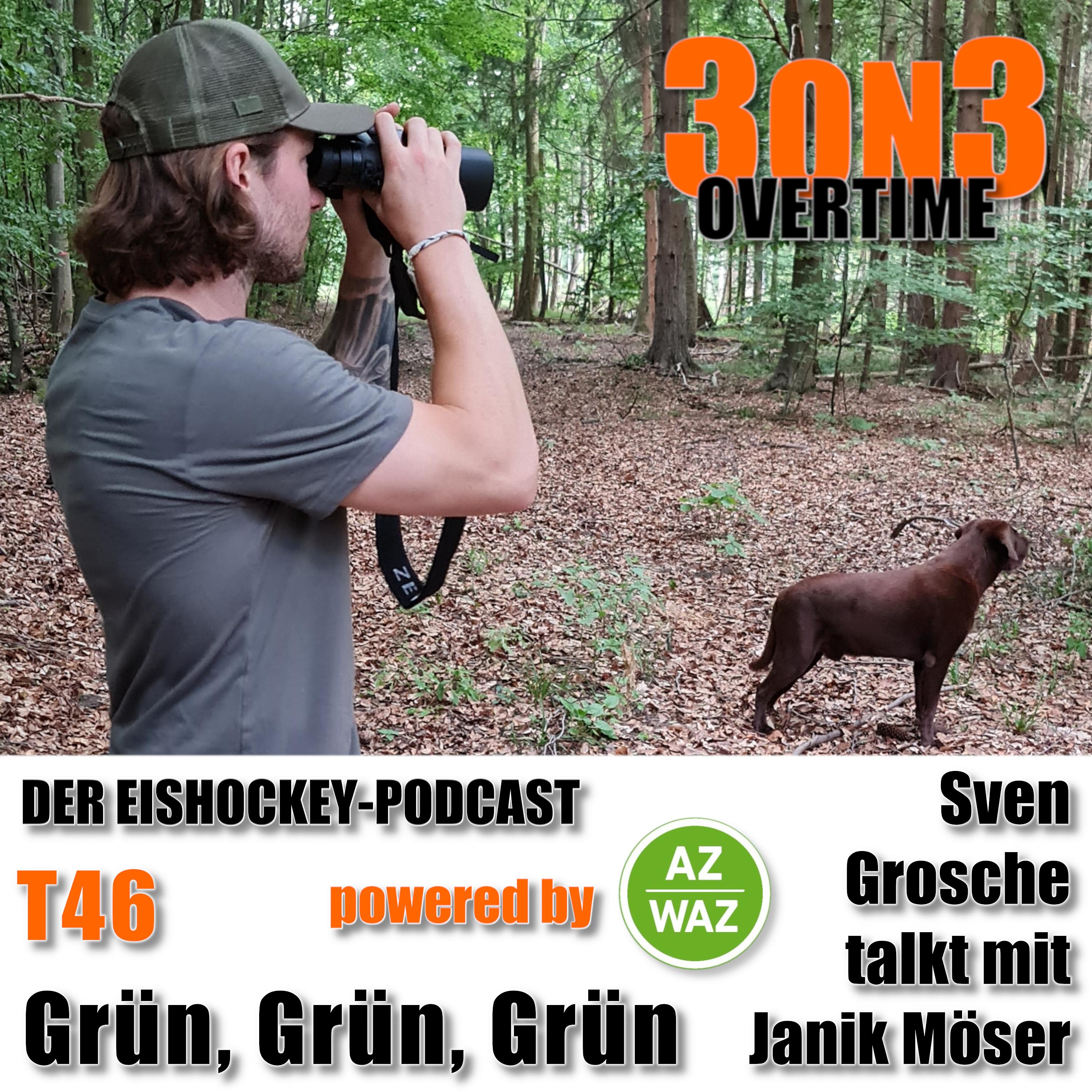 3on3Overtime - Der Wolfsburger Eishockeypodcast