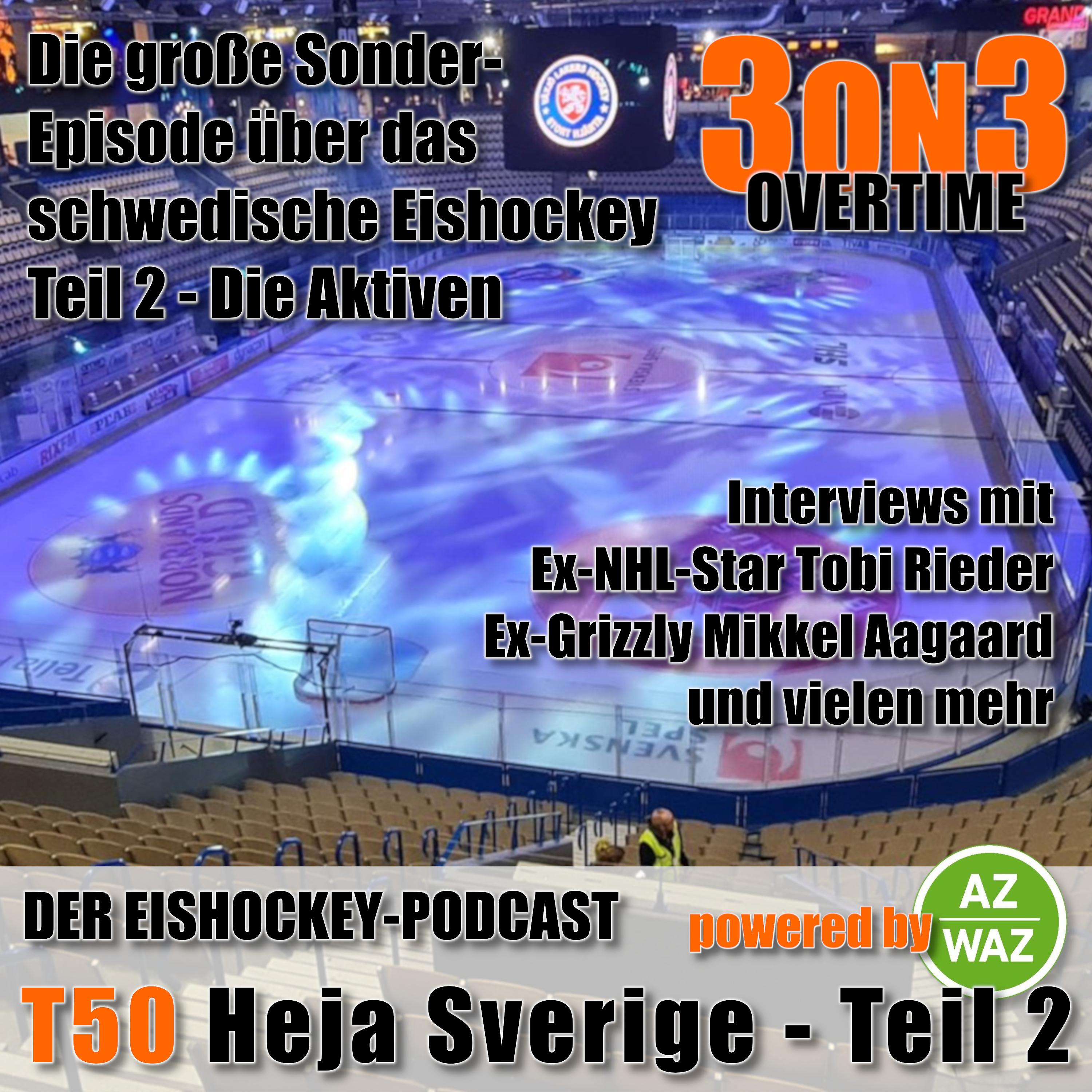 3on3Overtime - Der Wolfsburger Eishockeypodcast