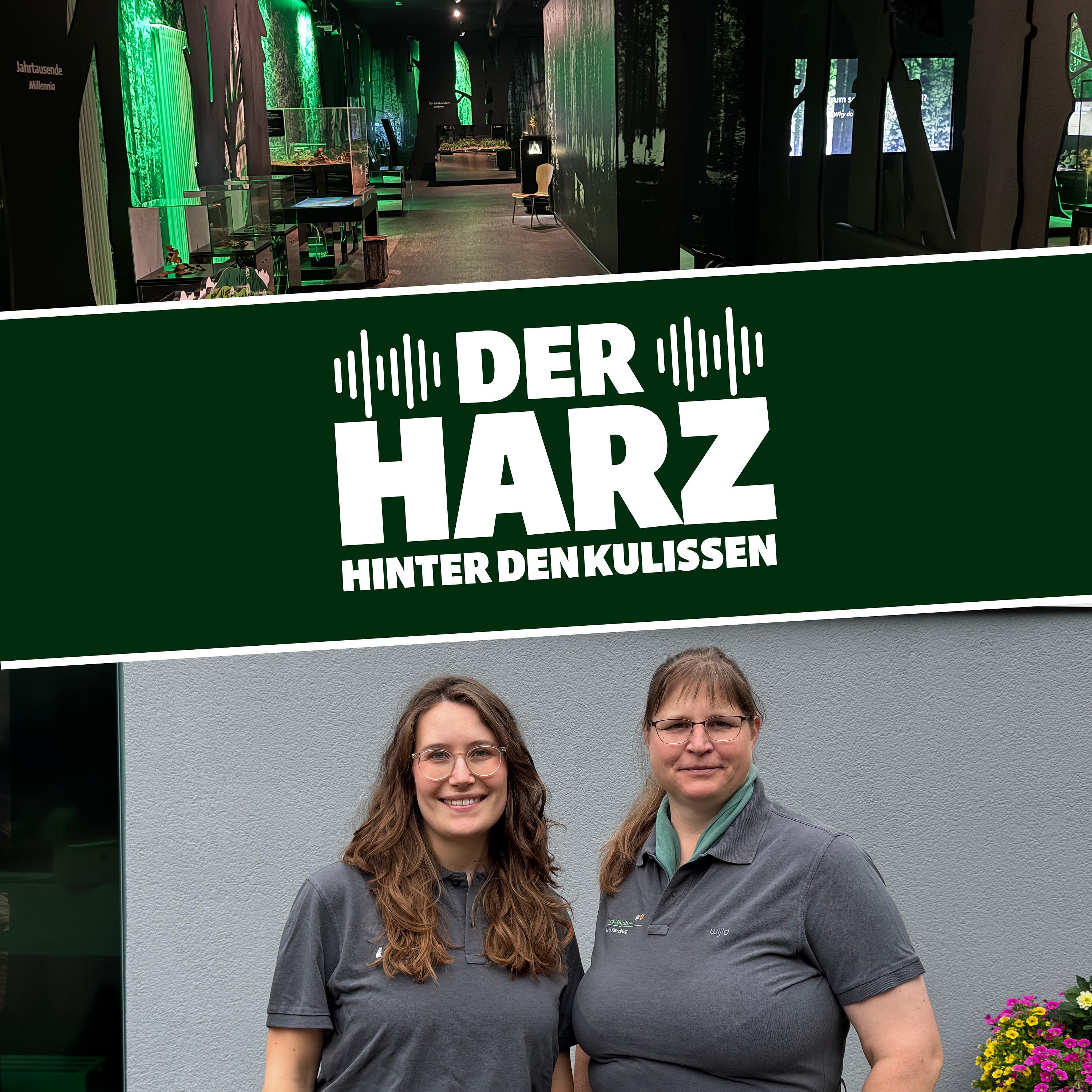 Josefine Barke & Anja Fischer | HarzWaldHaus episode artwork