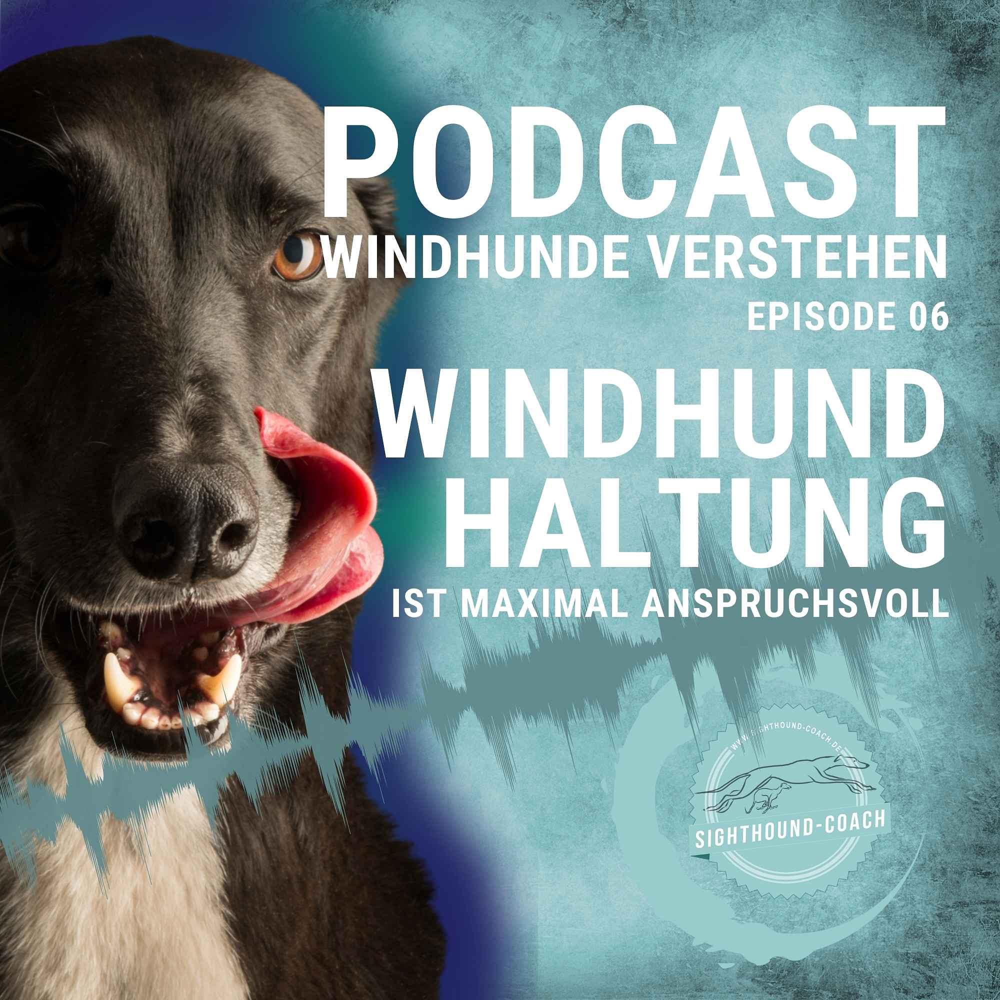 Windhunde verstehen Staffel 01
