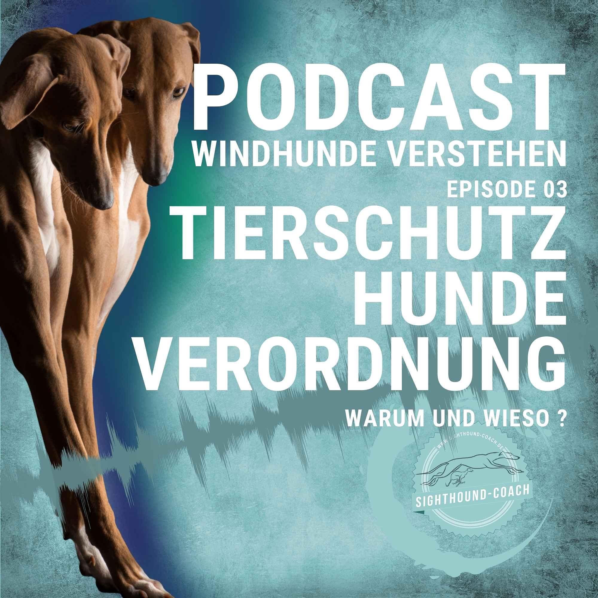 Windhunde verstehen Staffel 01