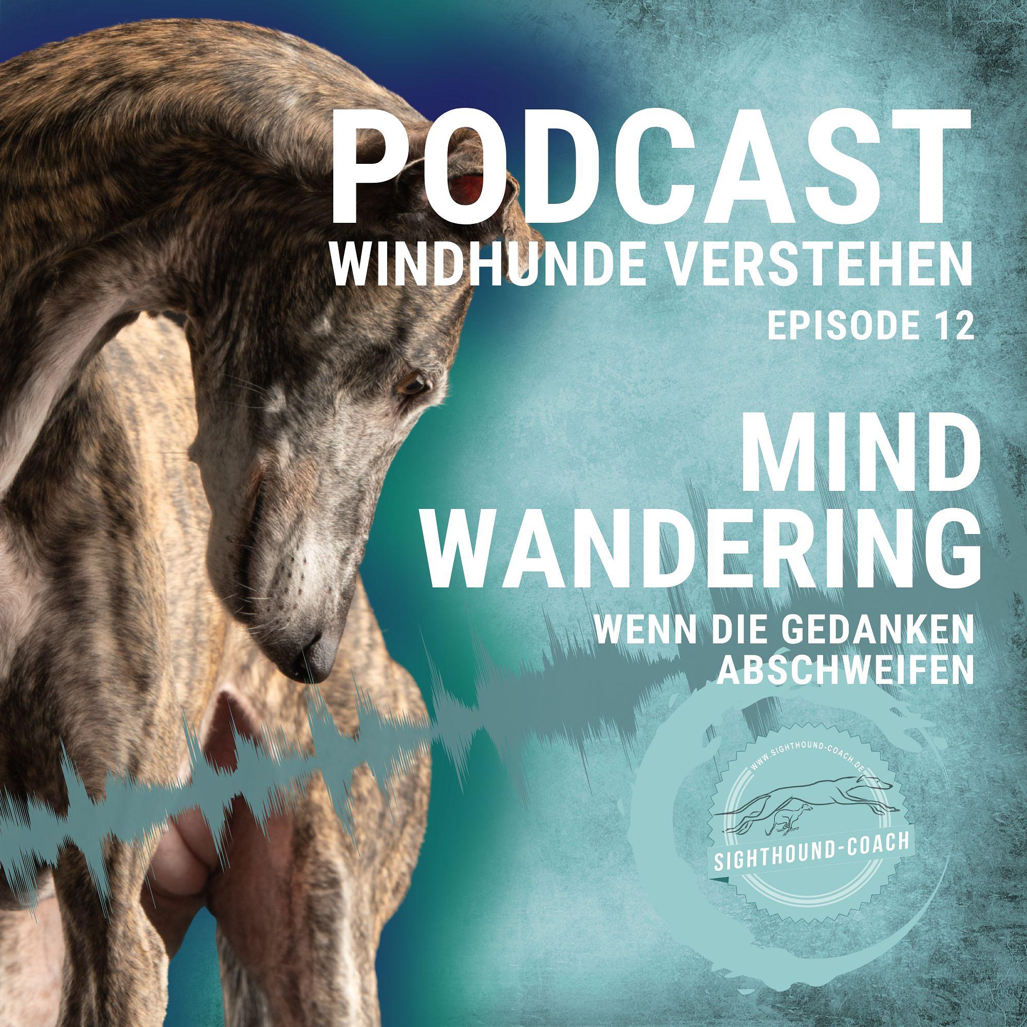 Windhunde verstehen Staffel 01