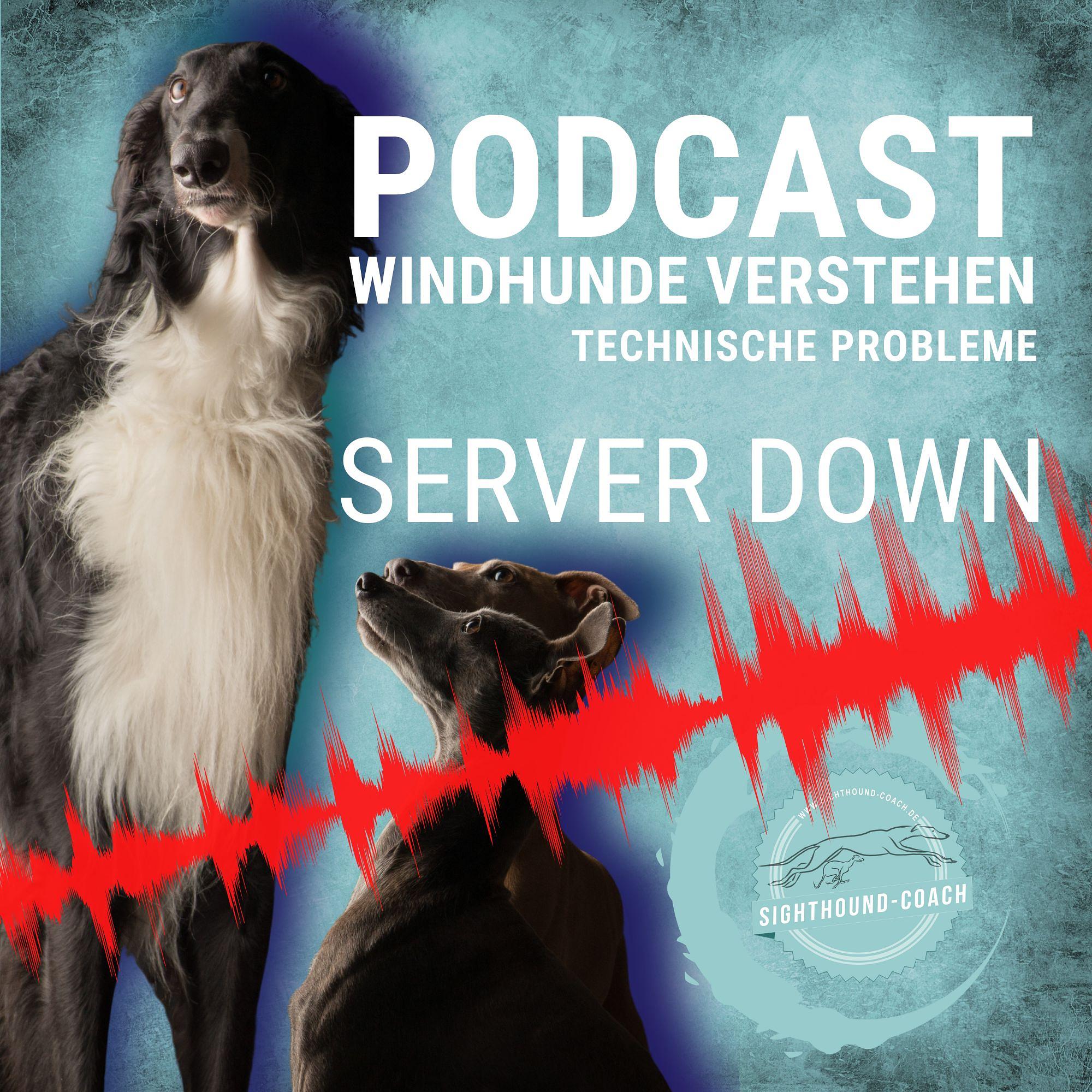 Windhunde verstehen Staffel 01