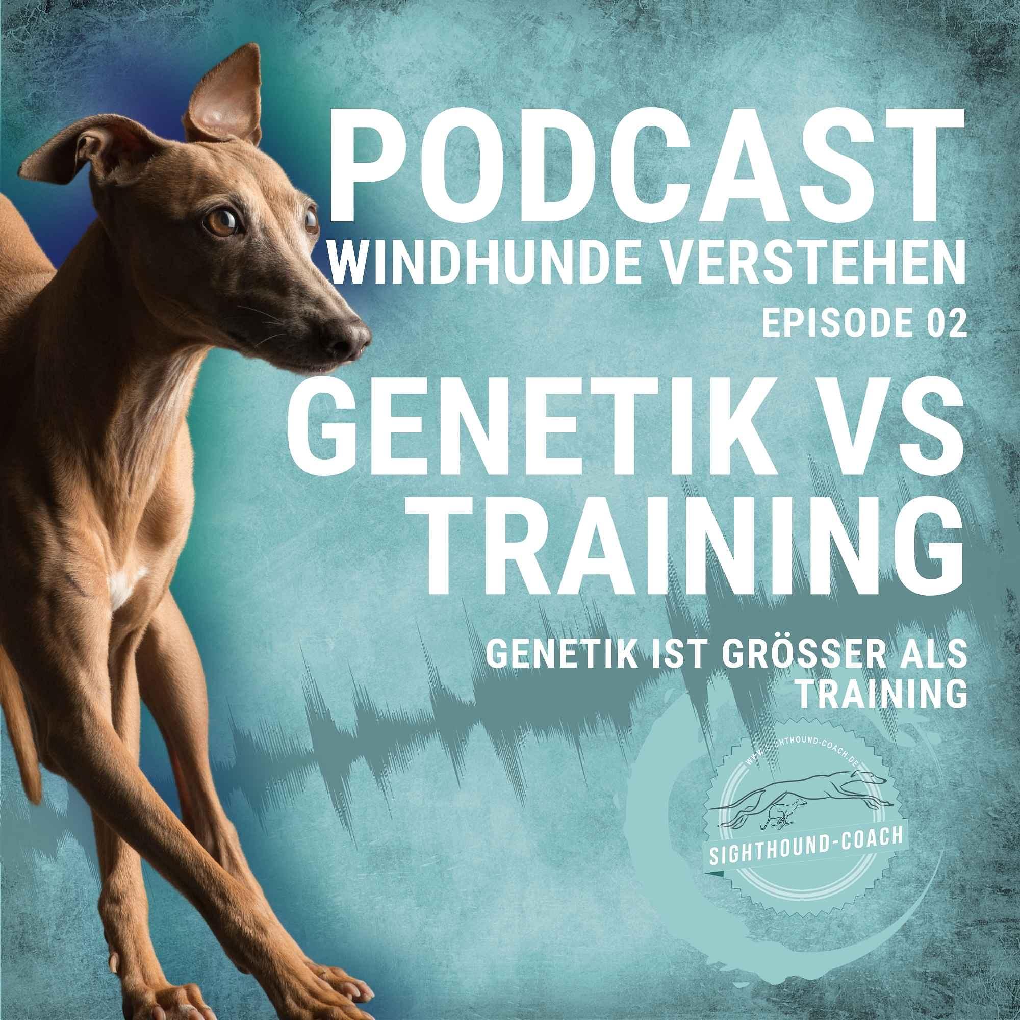 Windhunde verstehen Staffel 01