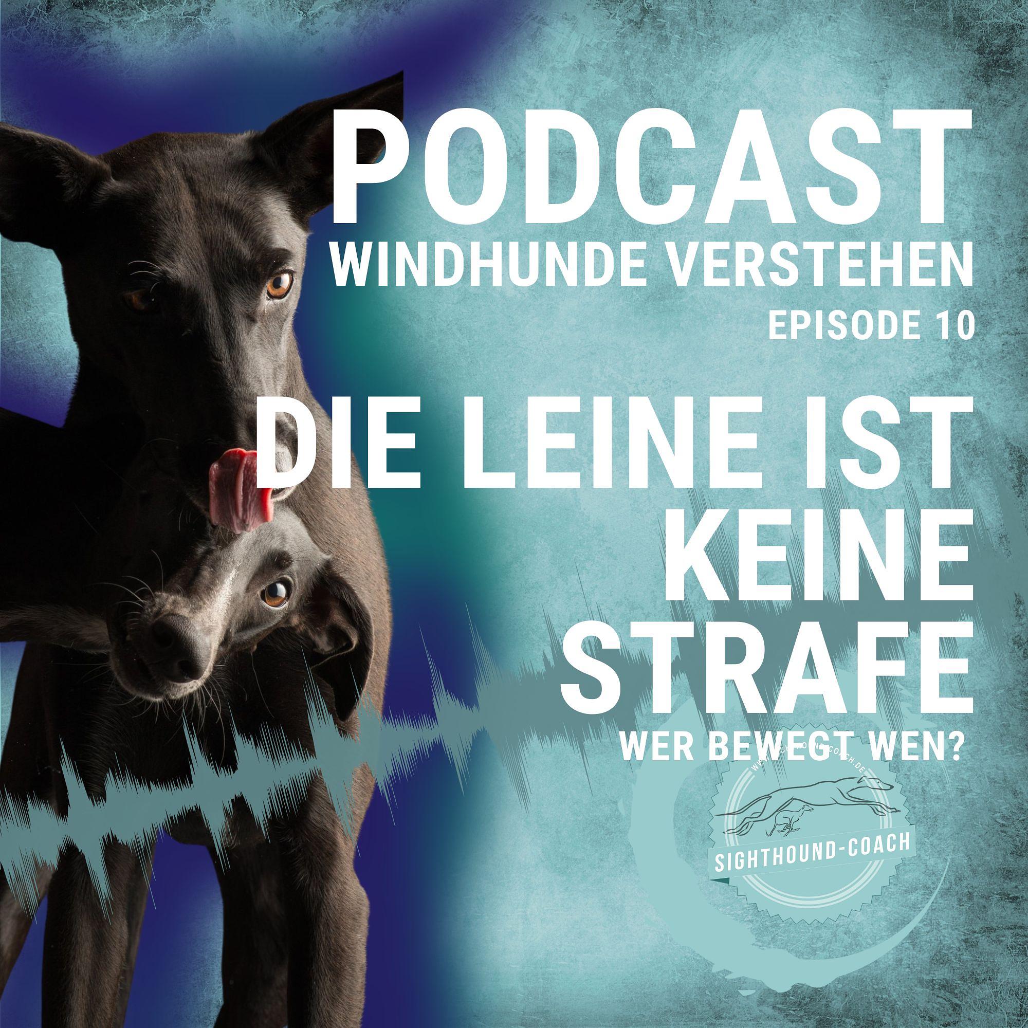 Windhunde verstehen Staffel 01