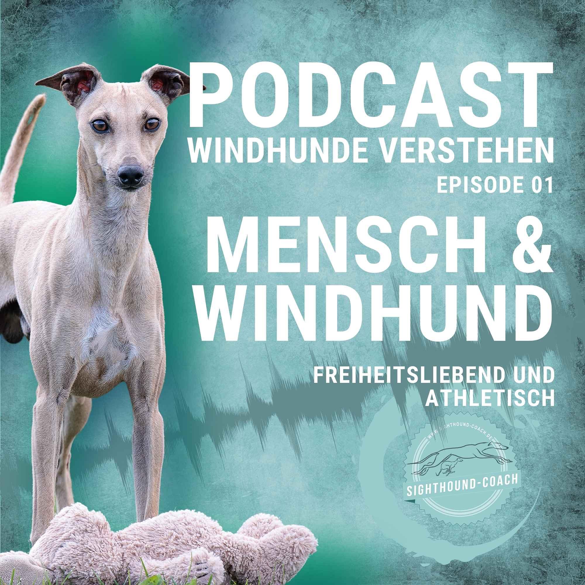 Windhunde verstehen Staffel 01
