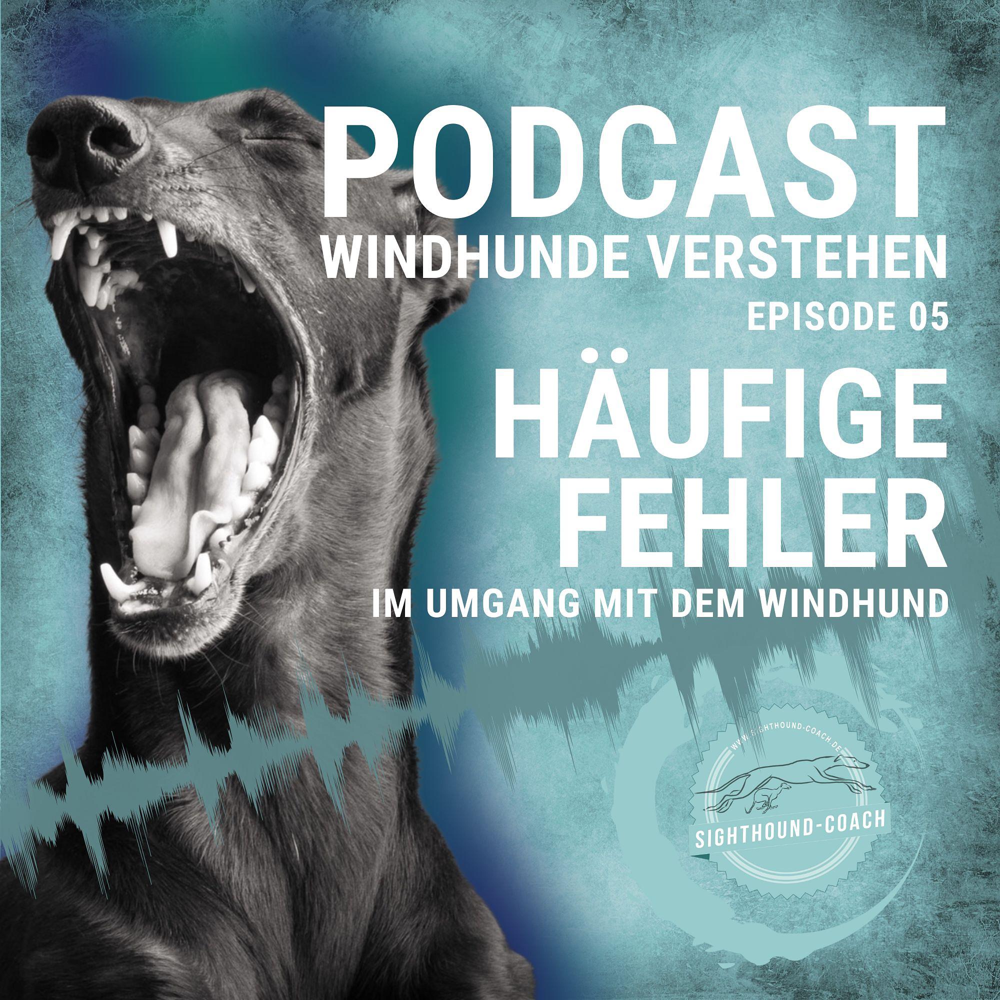 Windhunde verstehen Staffel 01
