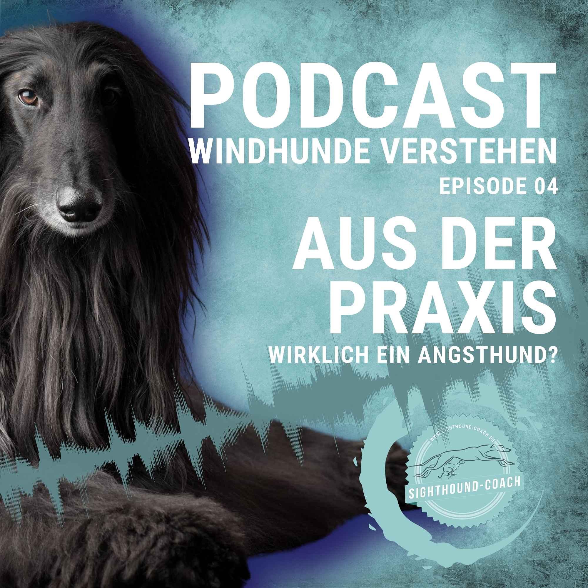 Windhunde verstehen Staffel 01