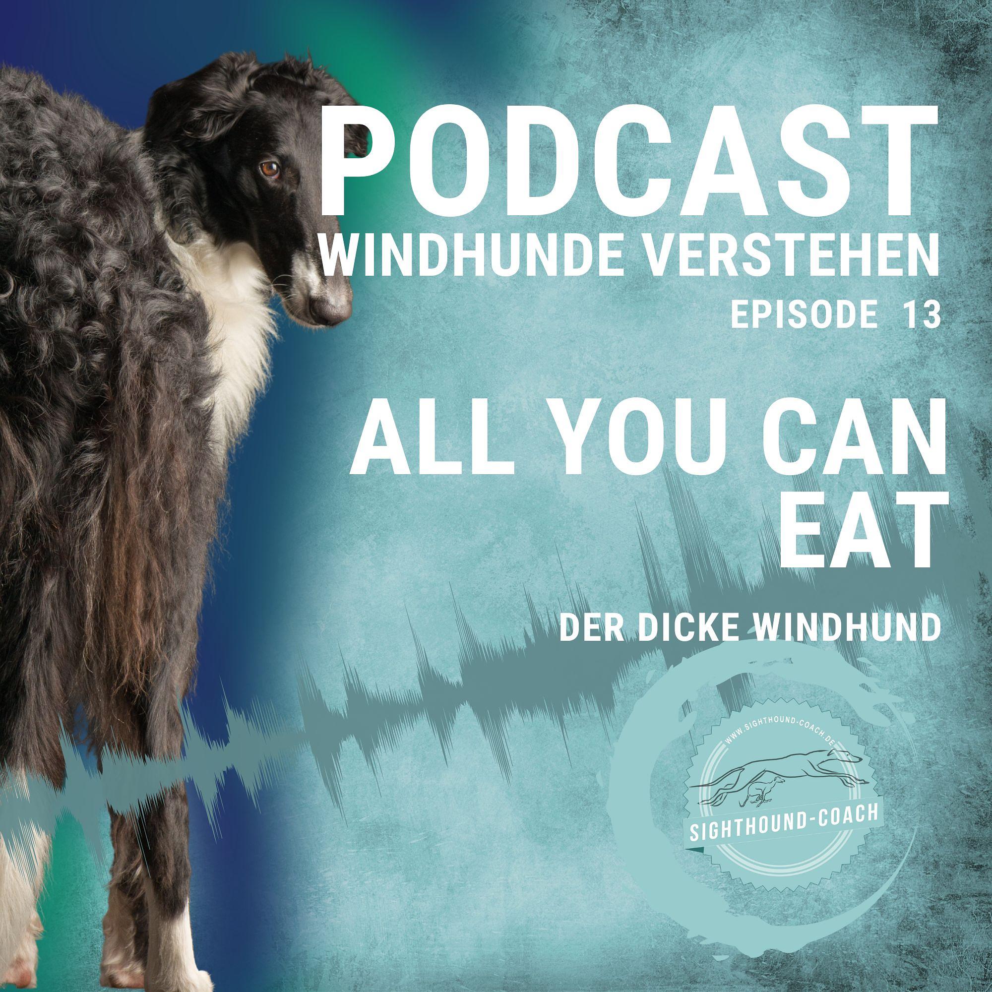 Windhunde verstehen Staffel 01