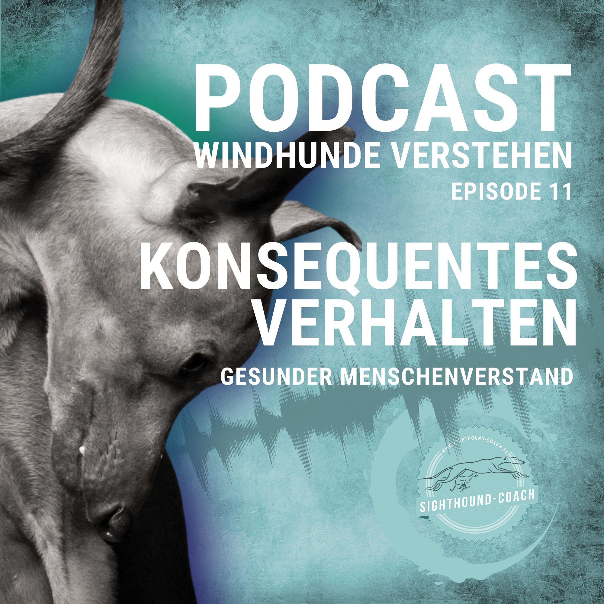 Windhunde verstehen Staffel 01