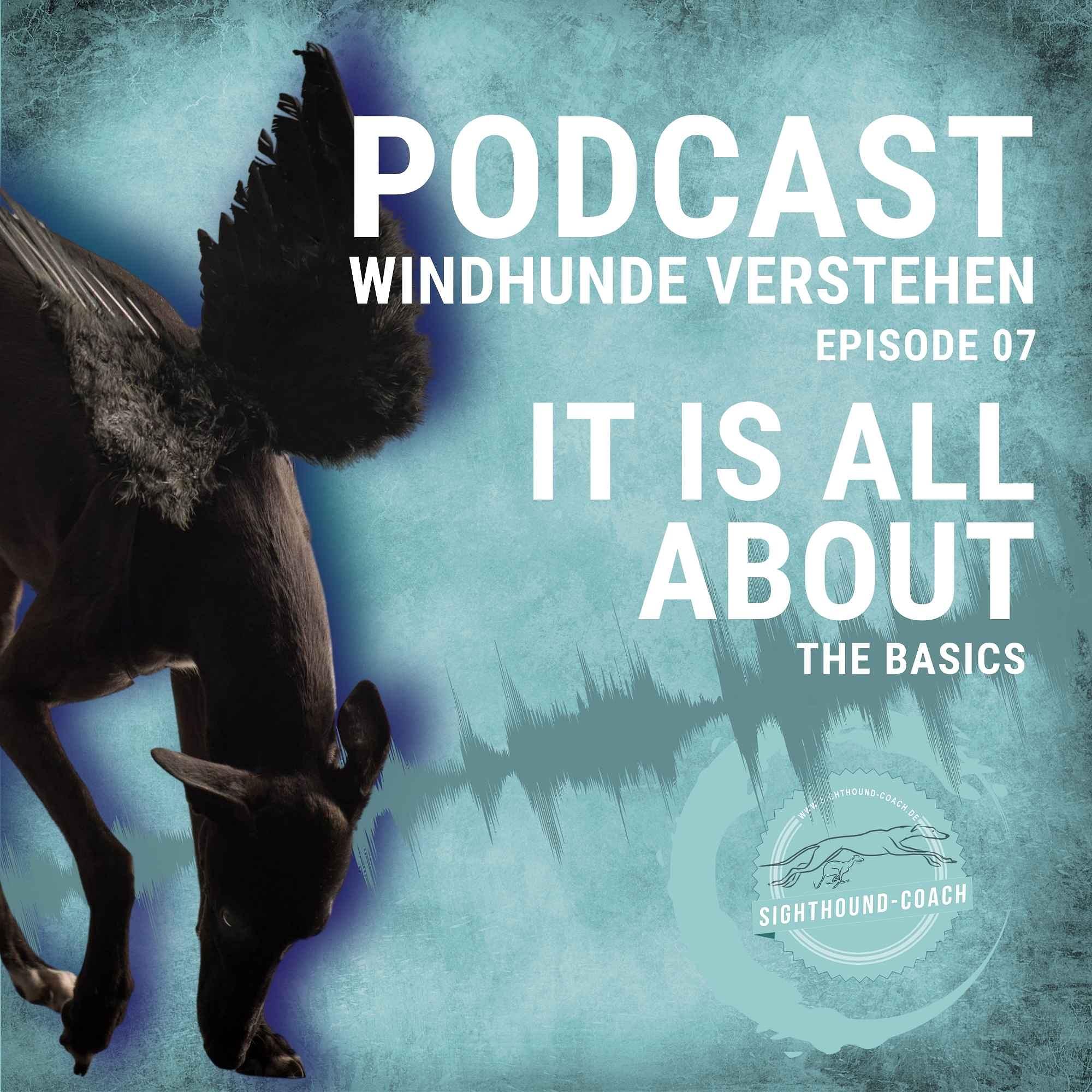 Windhunde verstehen Staffel 01