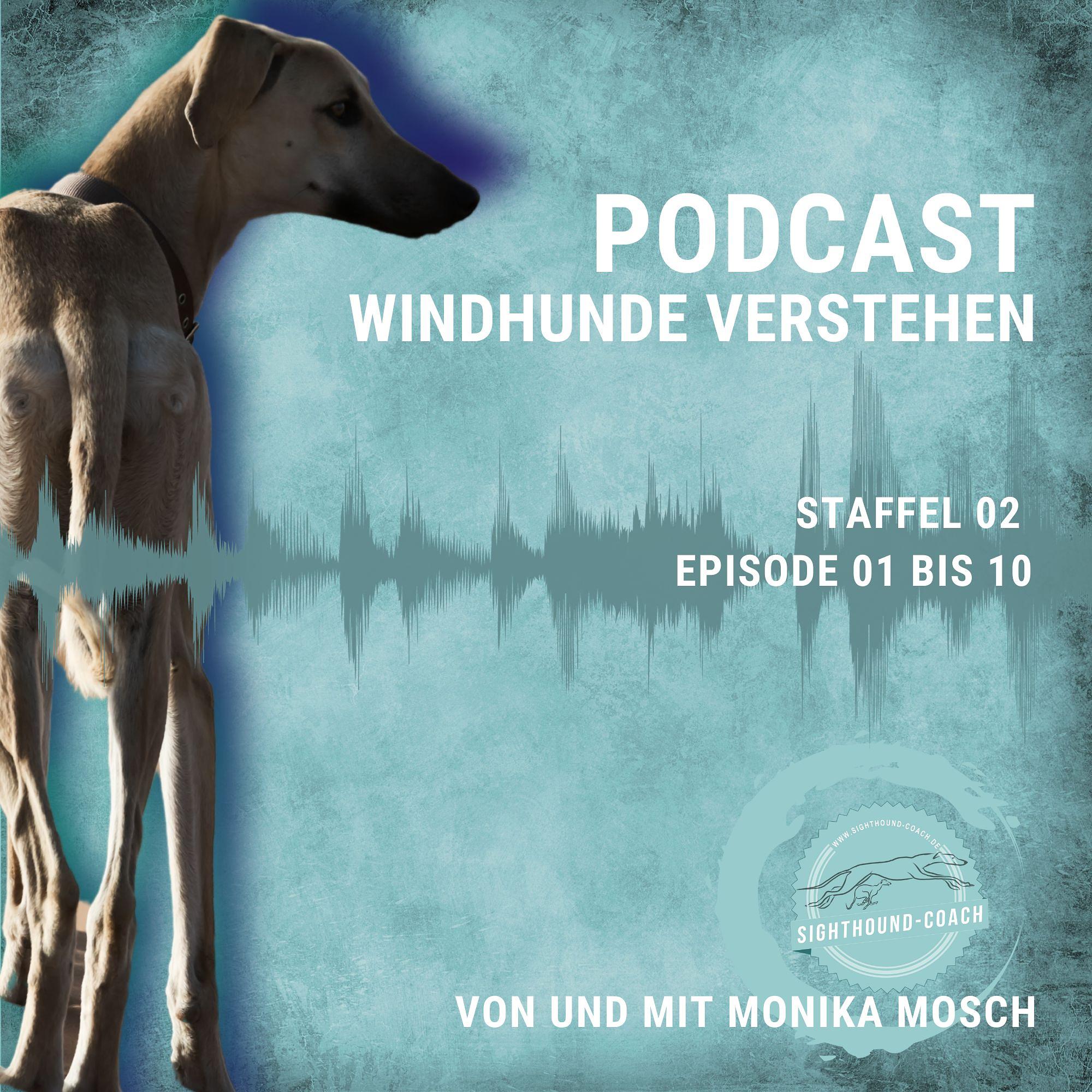 Windhunde verstehen Staffel 01