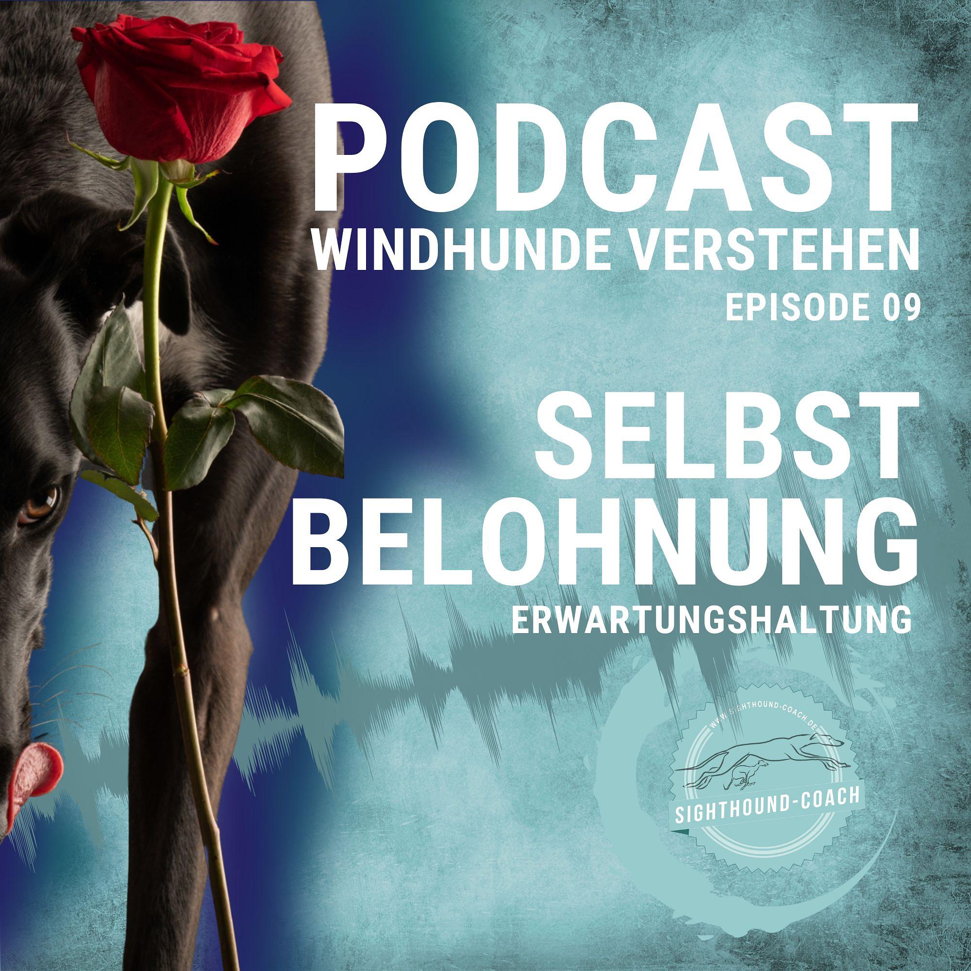 Windhunde verstehen Staffel 01