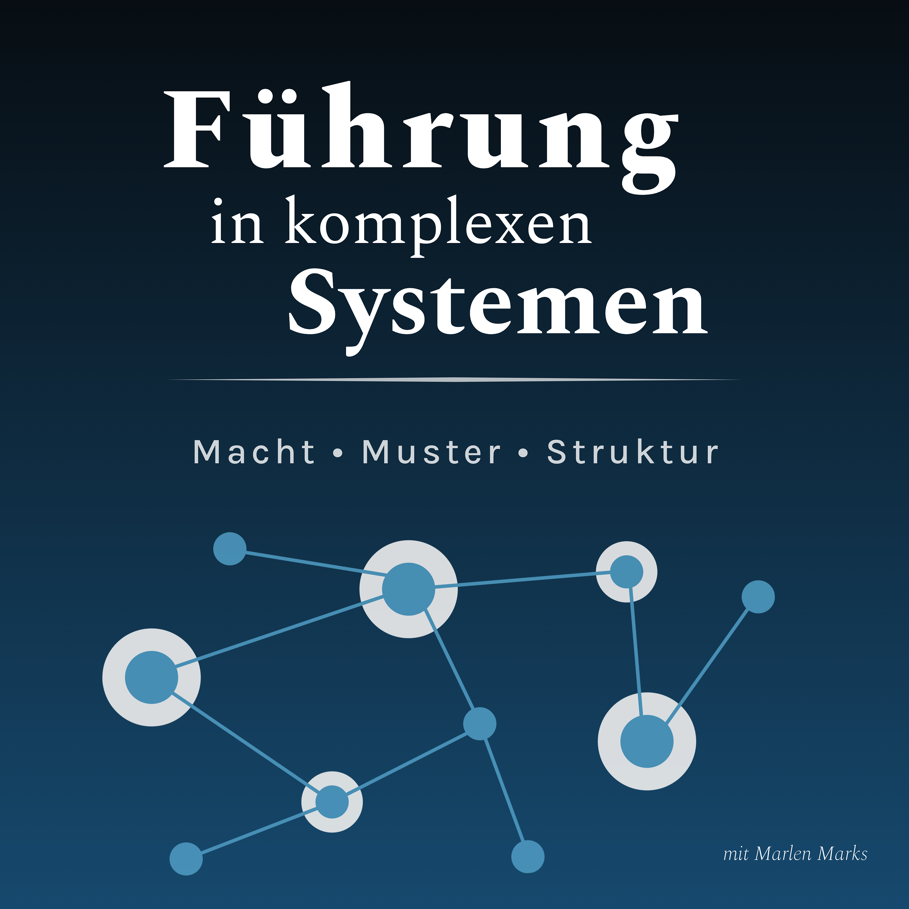 Führung in komplexen Systemen cover art