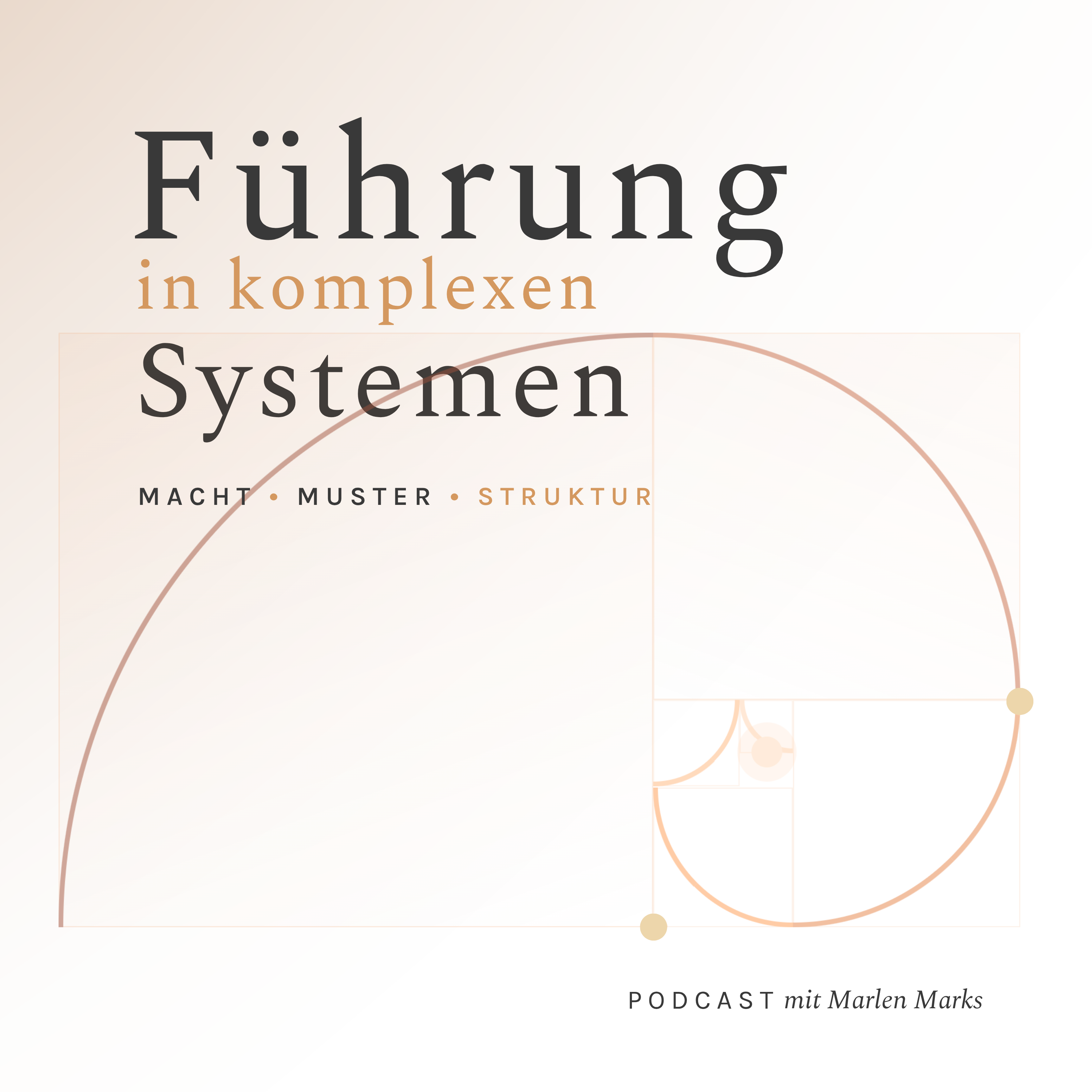 Führung in komplexen Systemen