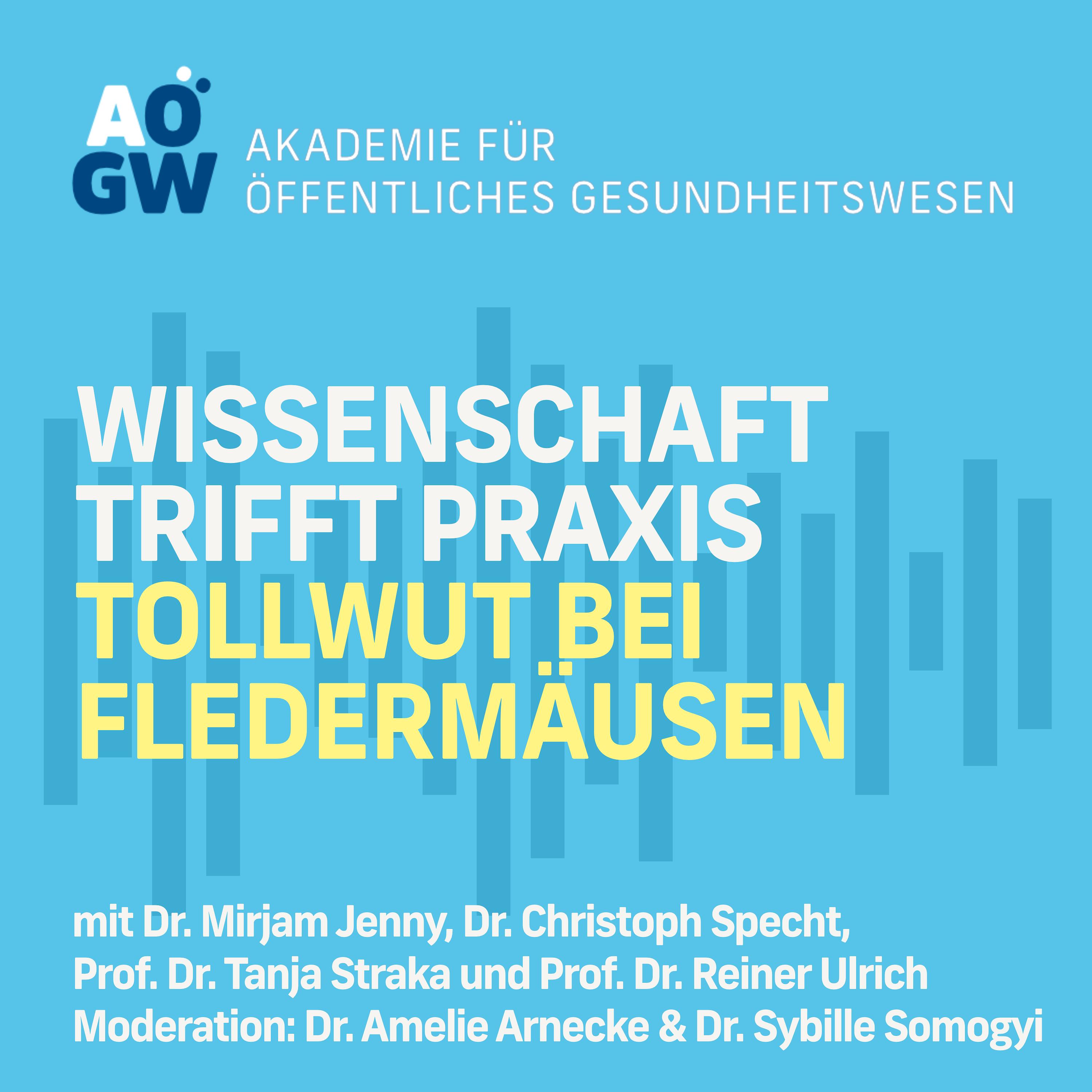 Tollwut bei Fledermäusen – Zwischen Artenschutz und Gesundheitsvorsorge episode artwork