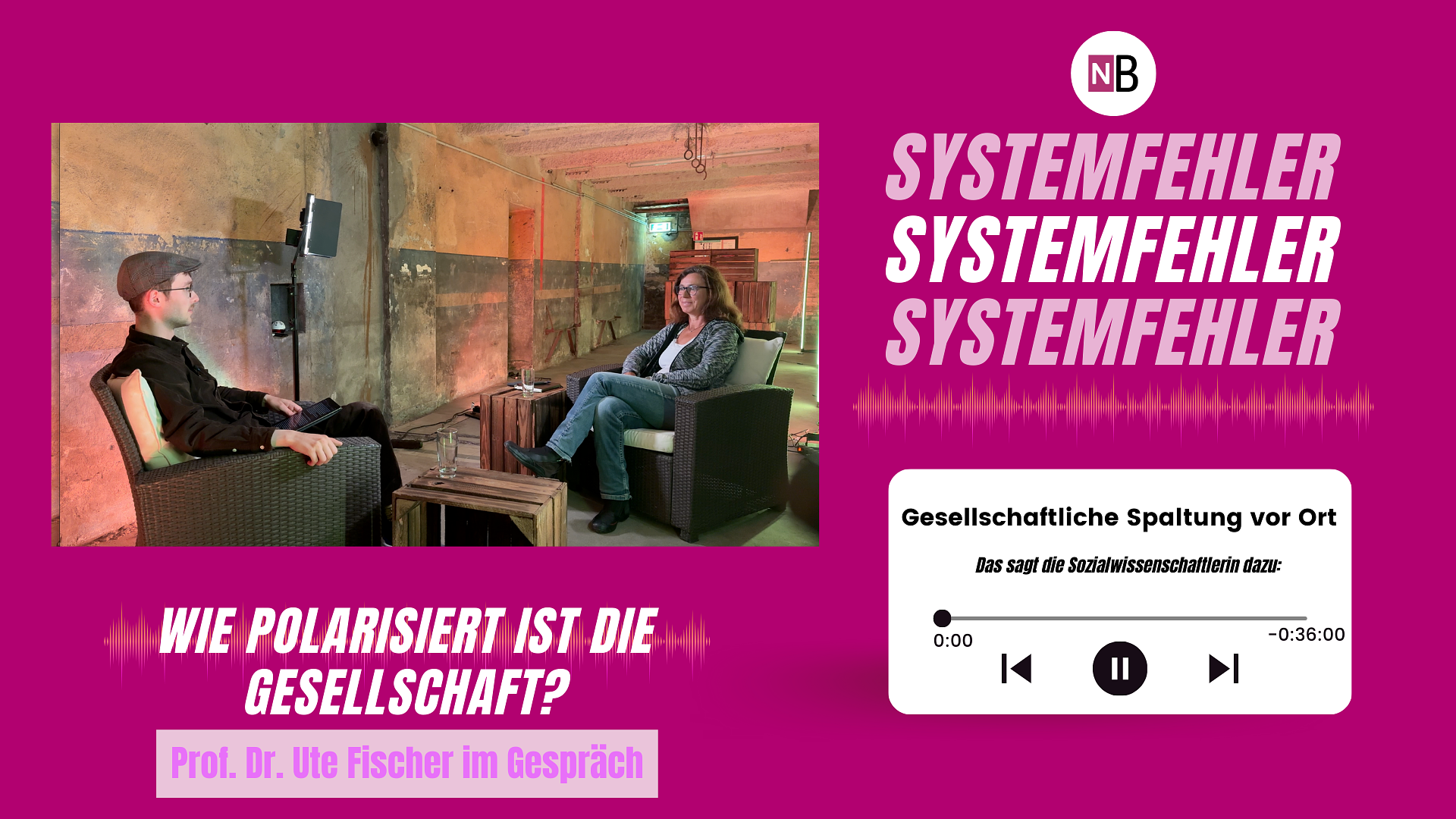 Systemfehler-Podcast: Wie steht es um die Spaltung in der Gesellschaft, Frau Prof. Fischer? episode artwork
