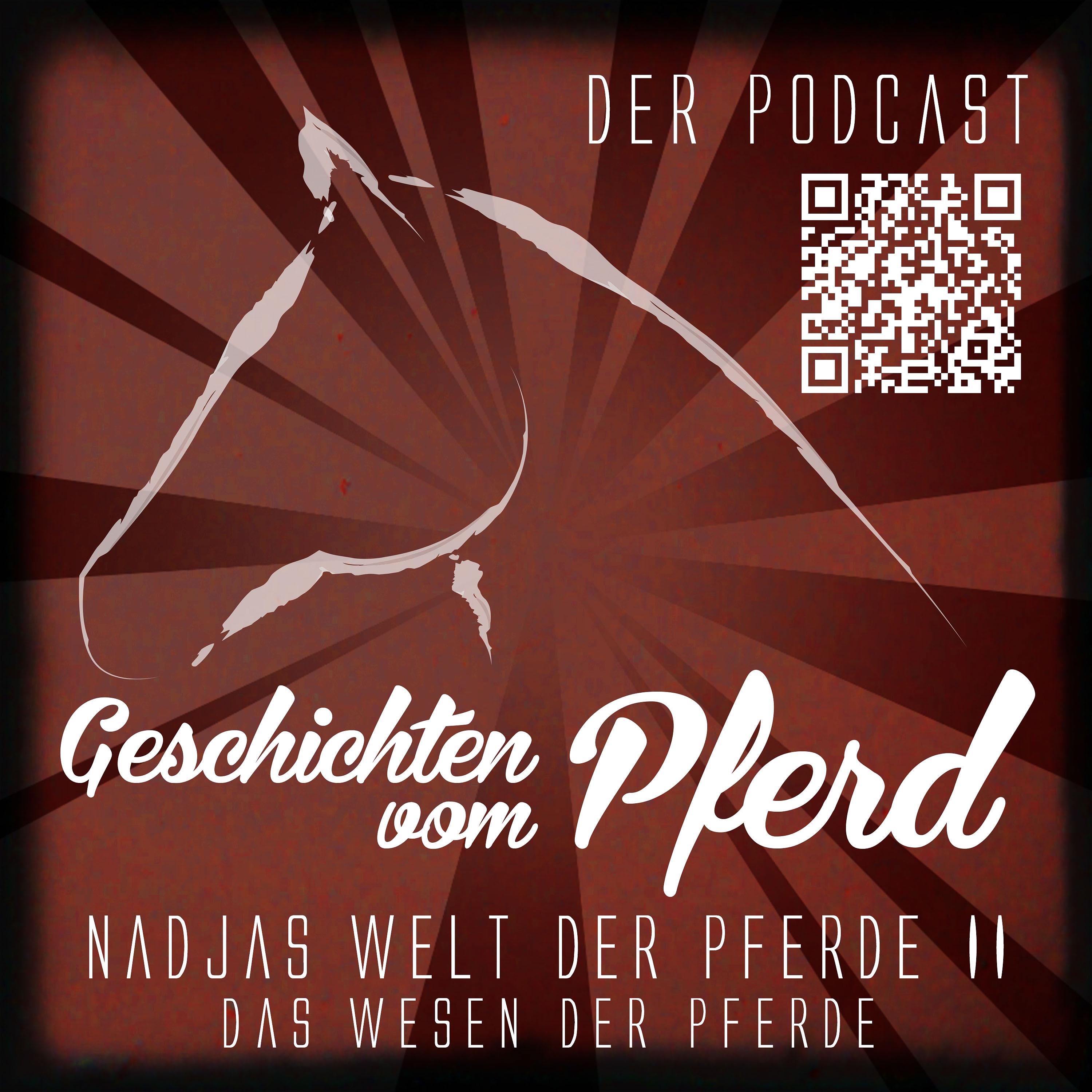 Geschichten vom Pferd