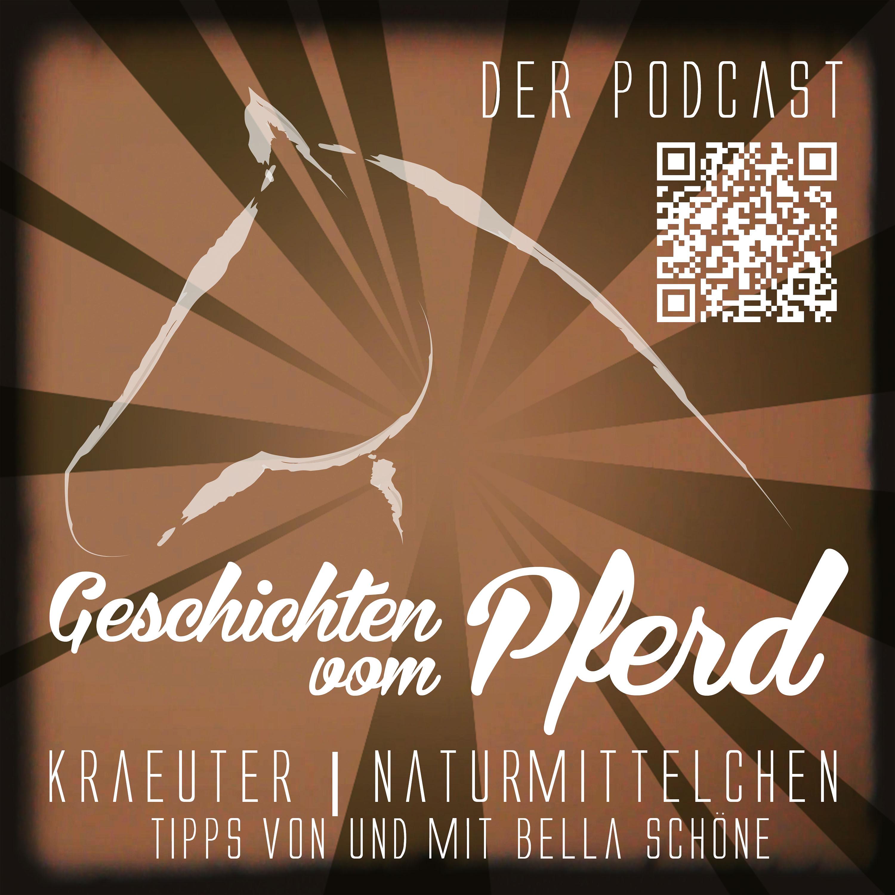 Geschichten vom Pferd