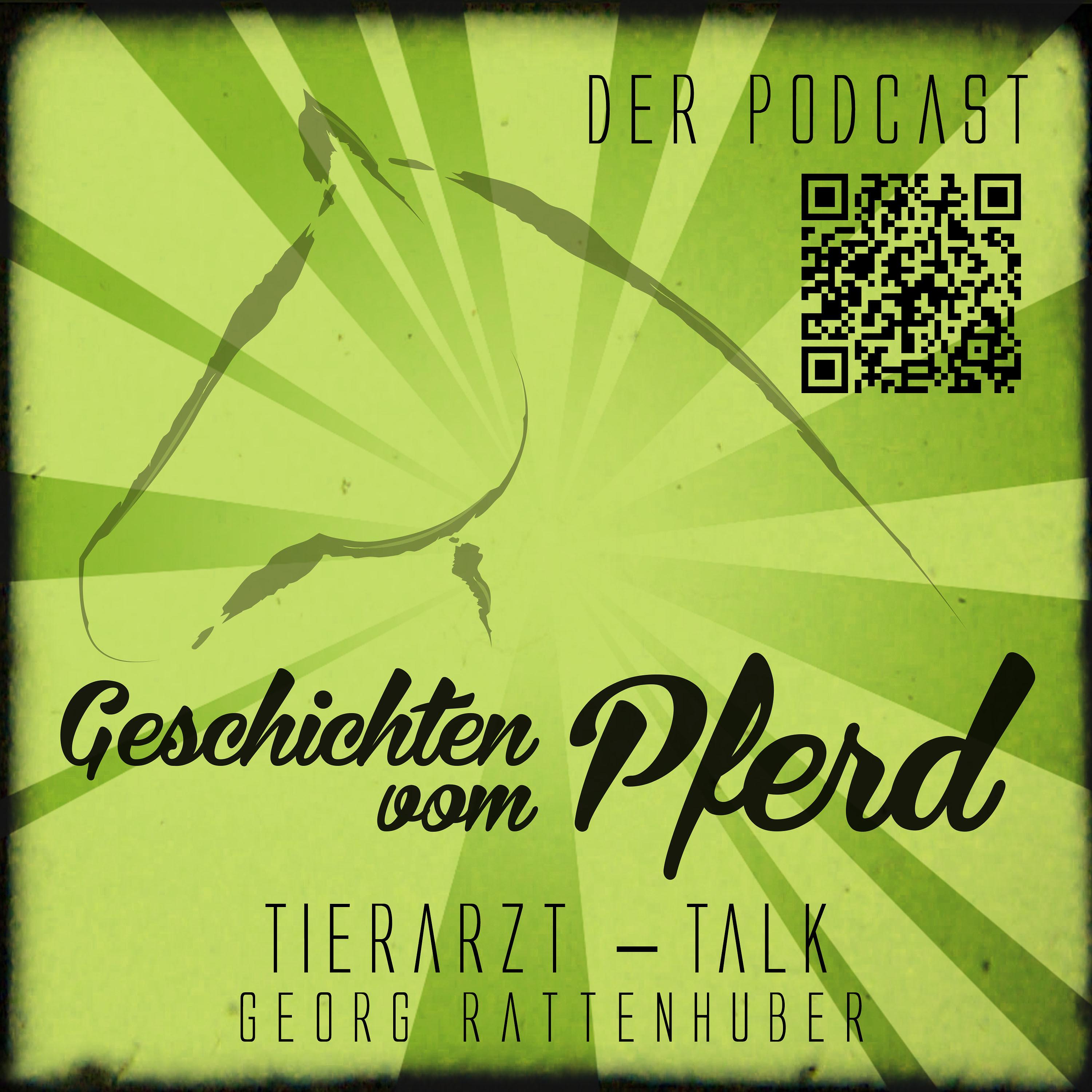 Geschichten vom Pferd