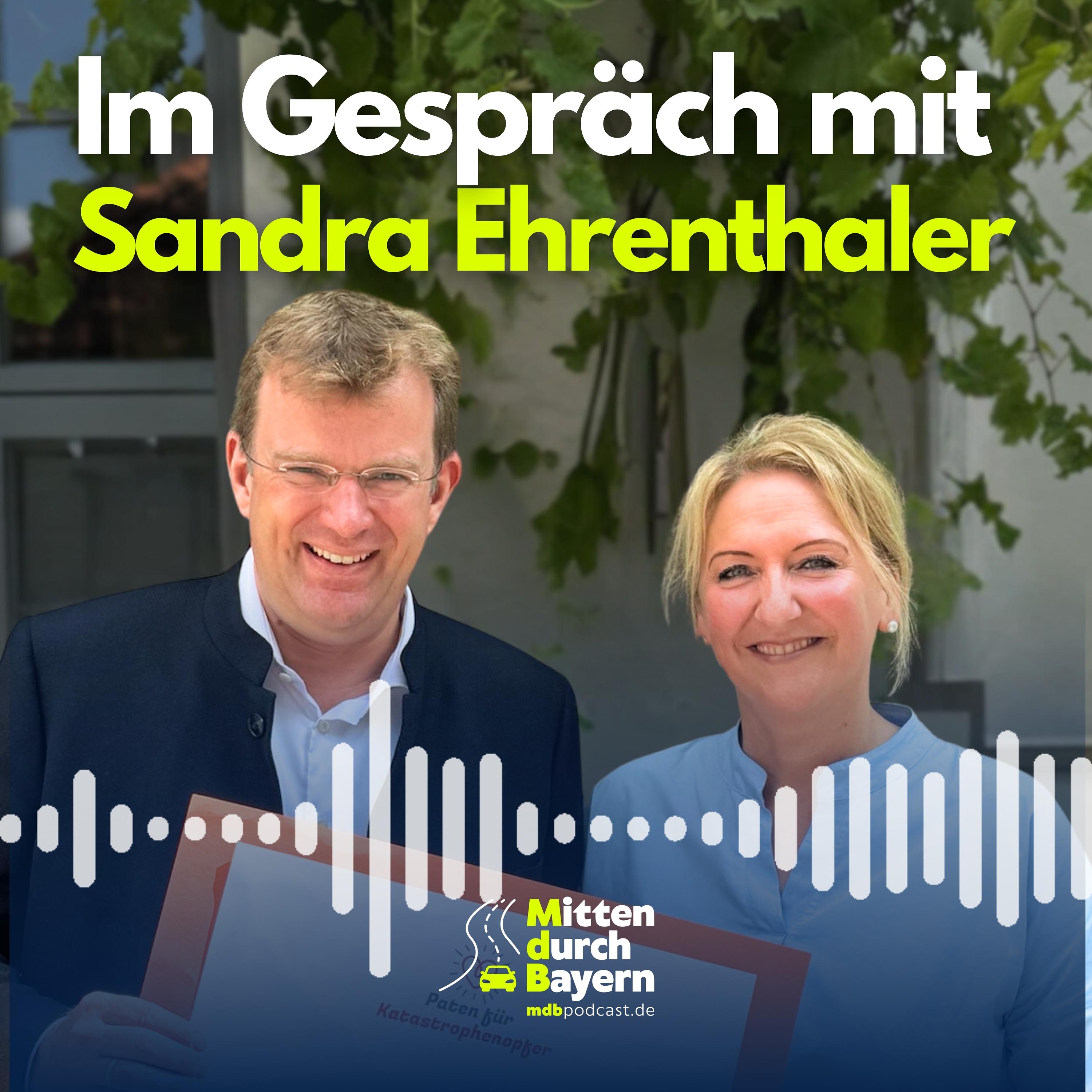 Paten für Katastrophenopfer gesucht episode artwork