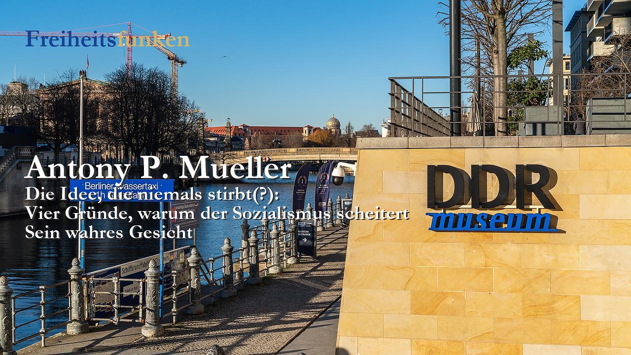 Kolumne der Woche (Freiheitsfunken)