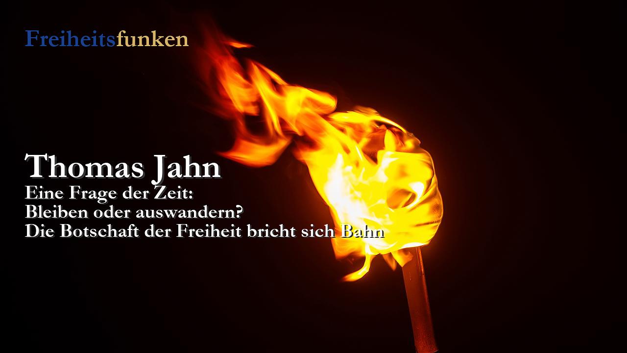 Kolumne der Woche (Freiheitsfunken)