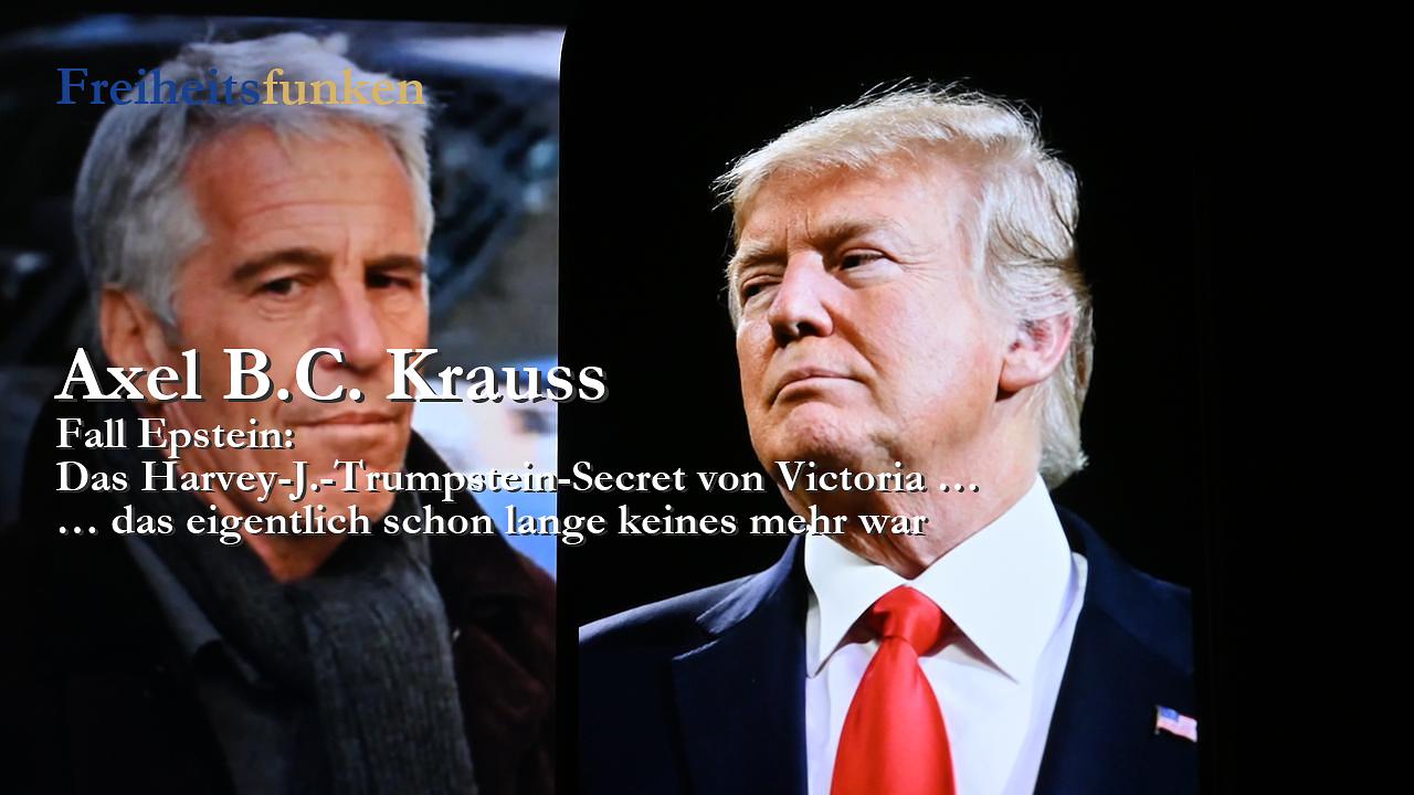 Kolumne der Woche (Freiheitsfunken)