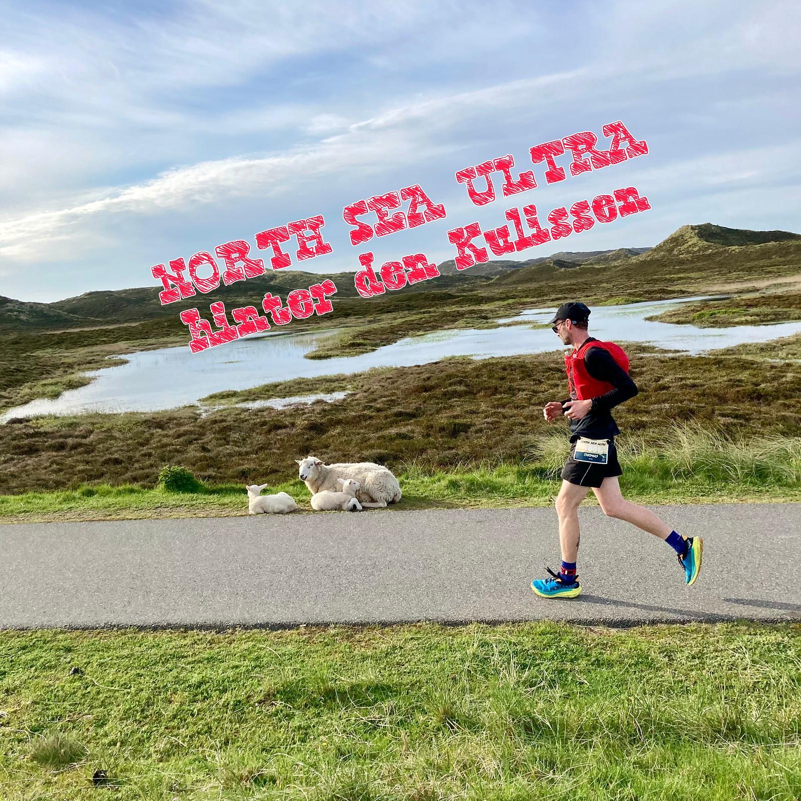 Run on Trails
