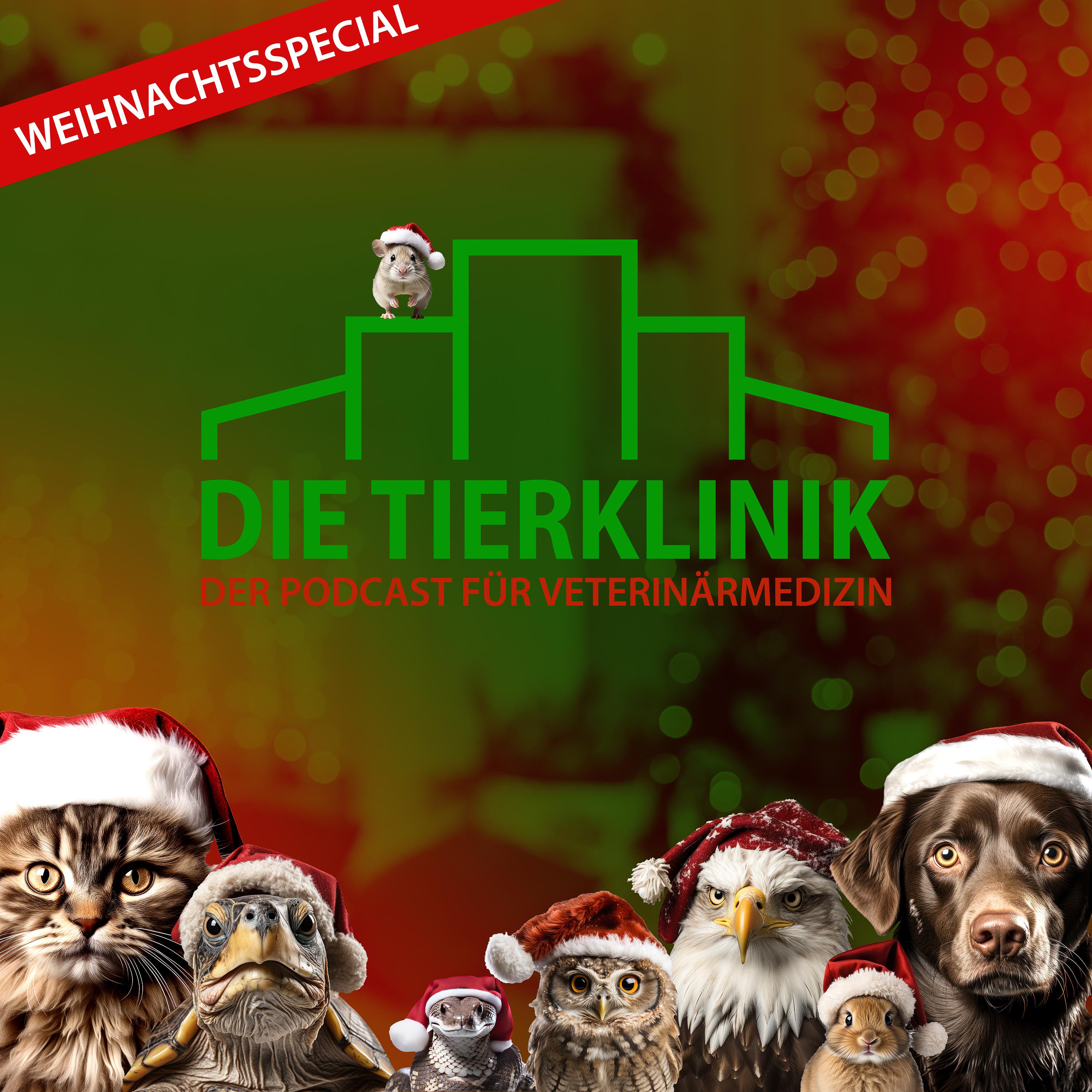 Die Tierklinik – Der Podcast für Veterinärmedizin