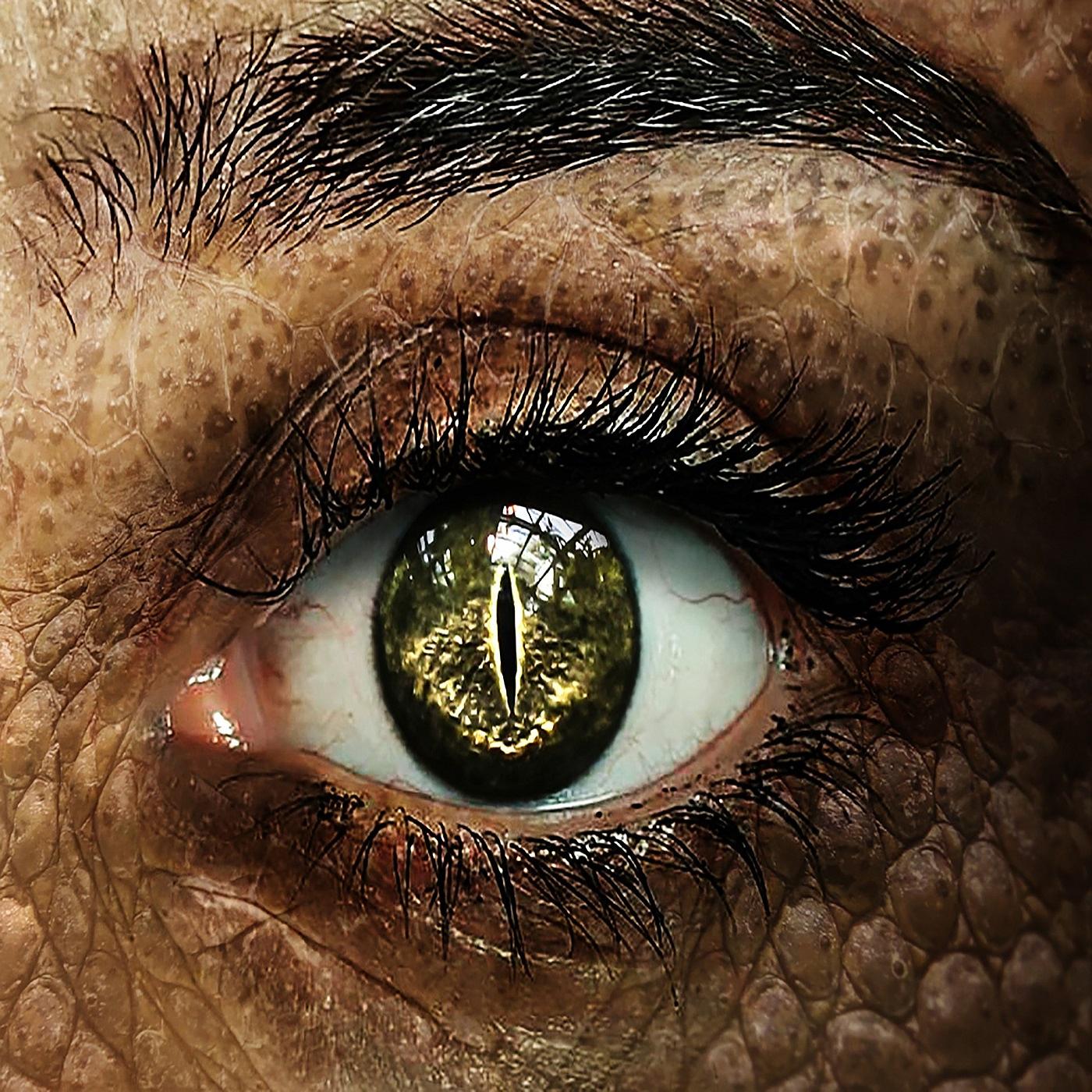[DSA Hörspiel] Im Auge des Drachen 06 - Piraten episode artwork