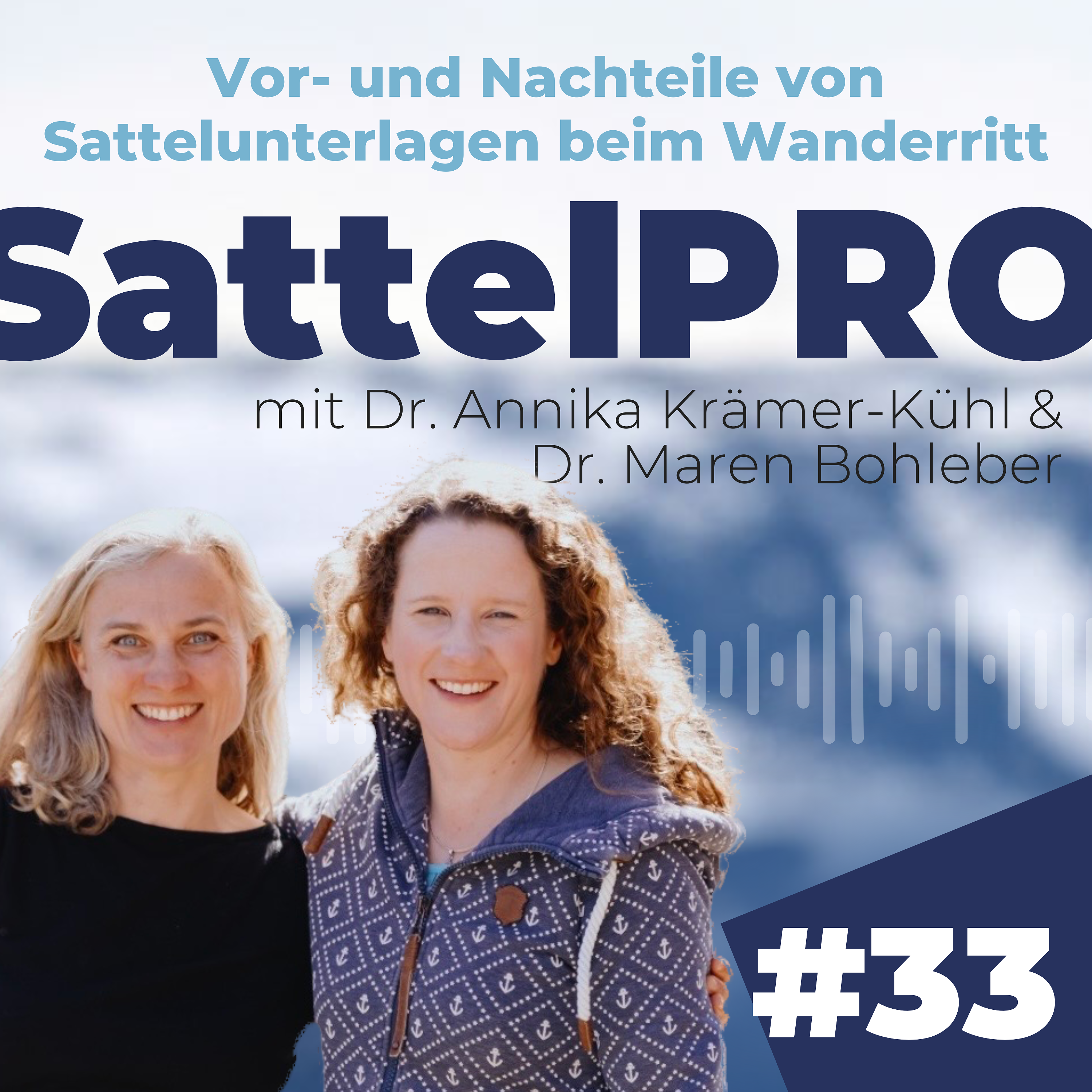 #33 Vor- und Nachteile von Sattelunterlagen (nicht nur) beim Wanderritt | zu Gast bei Dr. Annika Krämer-Kühl episode artwork