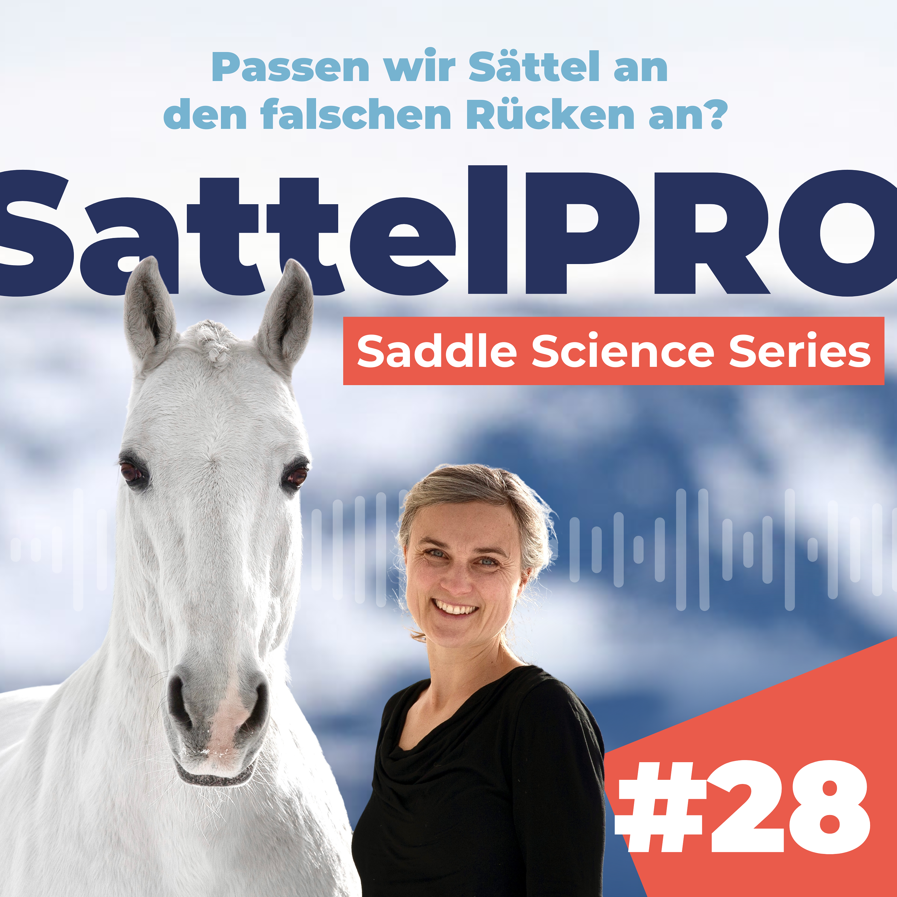 #28 Passen wir Sättel an den falschen Rücken an? episode artwork