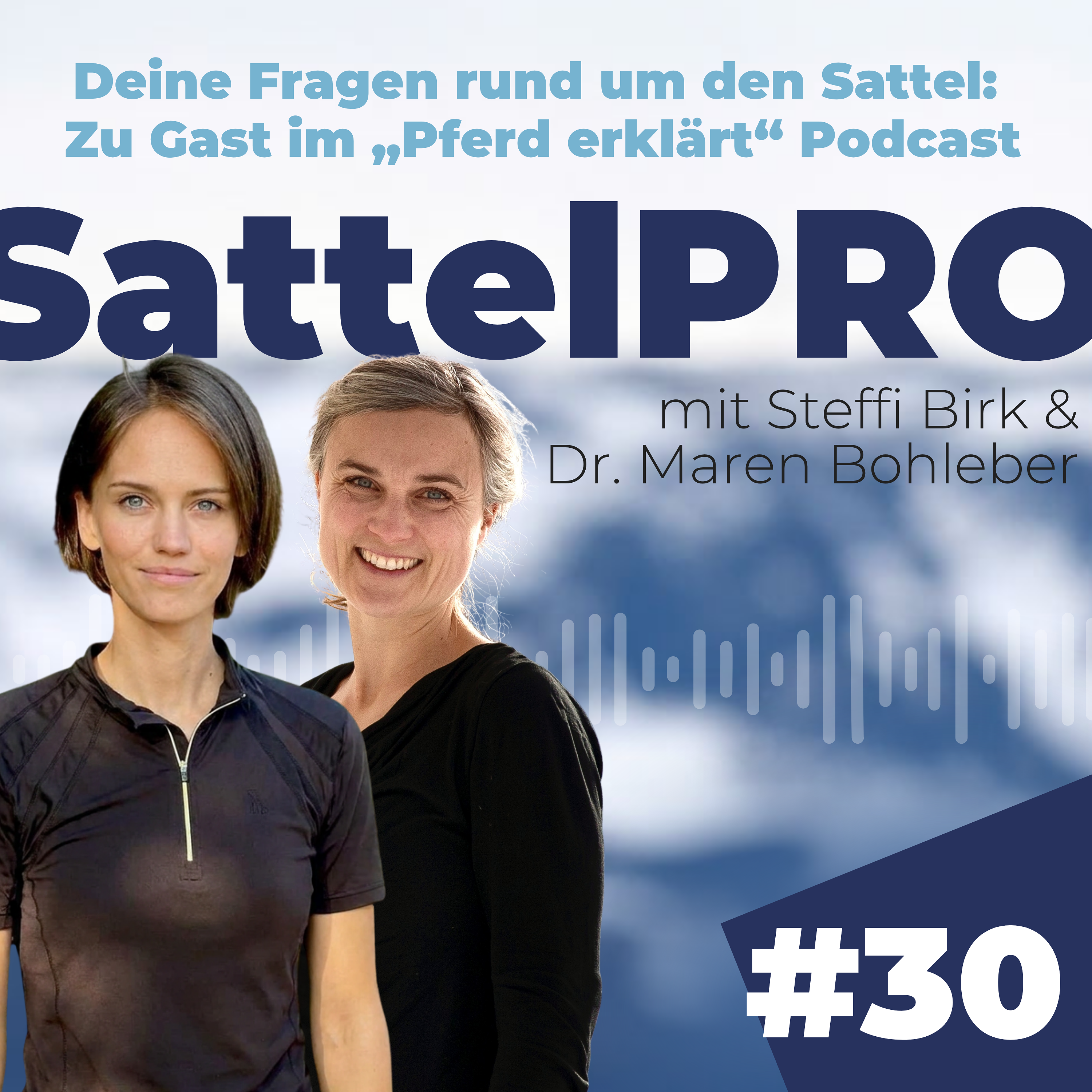 #30 Deine Fragen rund um den Sattel: Zu Gast im „Pferd erklärt“ Podcast episode artwork