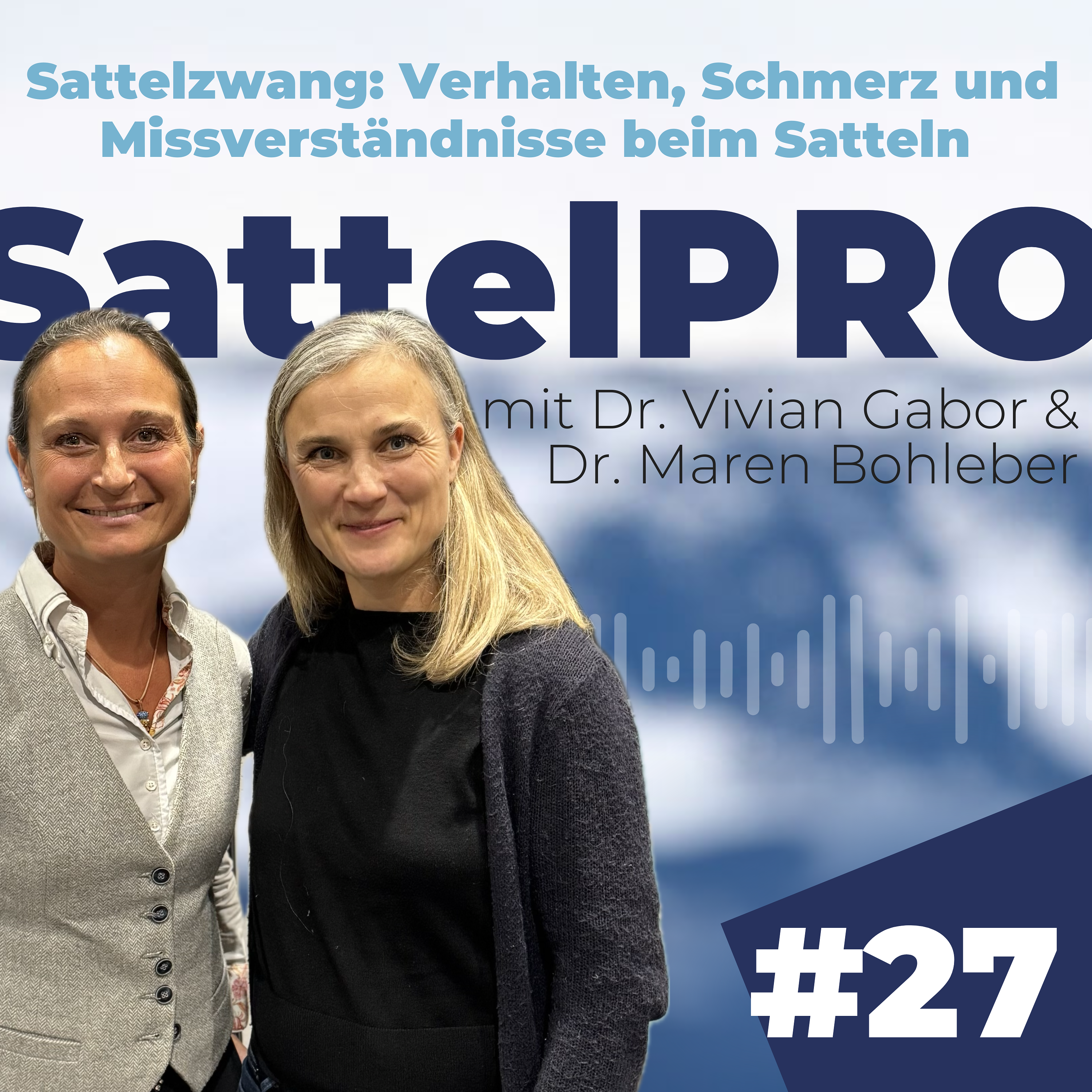 #27 Sattelzwang: Verhalten, Schmerz und Missverständnisse beim Satteln │ Mit Dr. Vivian Gabor episode artwork