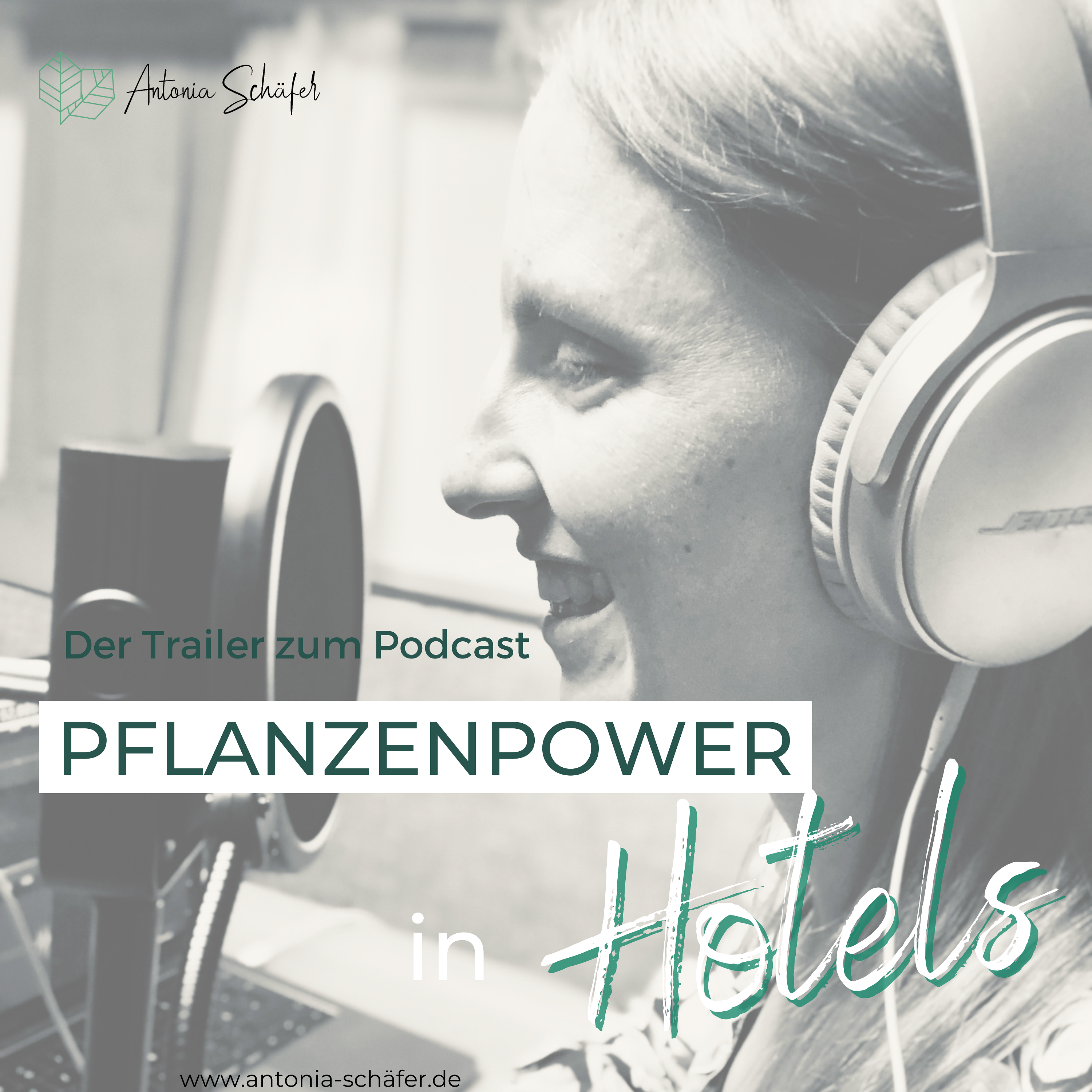 Pflanzenpower in Hotels
