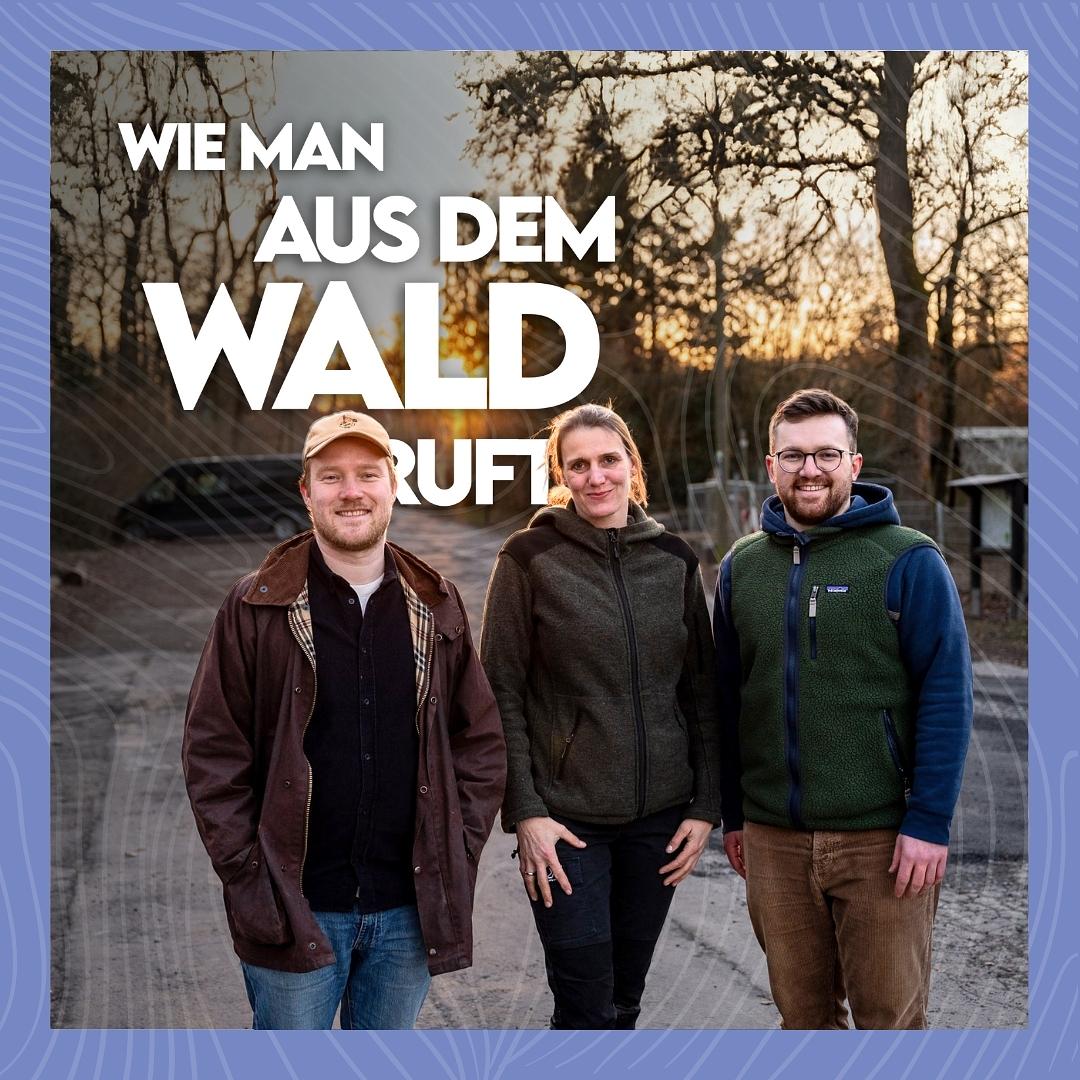 Wie man aus dem Wald ruft...