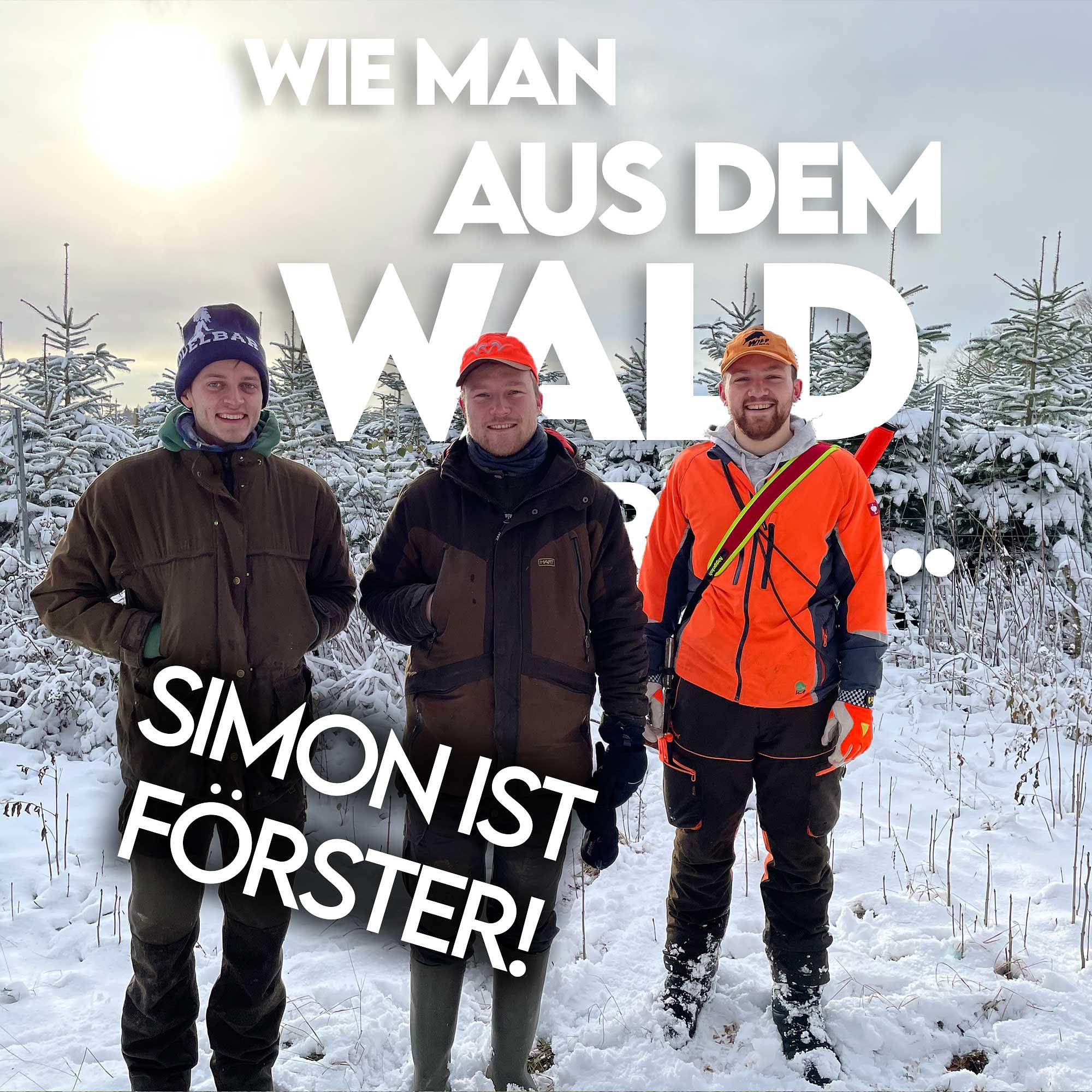 Wie man aus dem Wald ruft...
