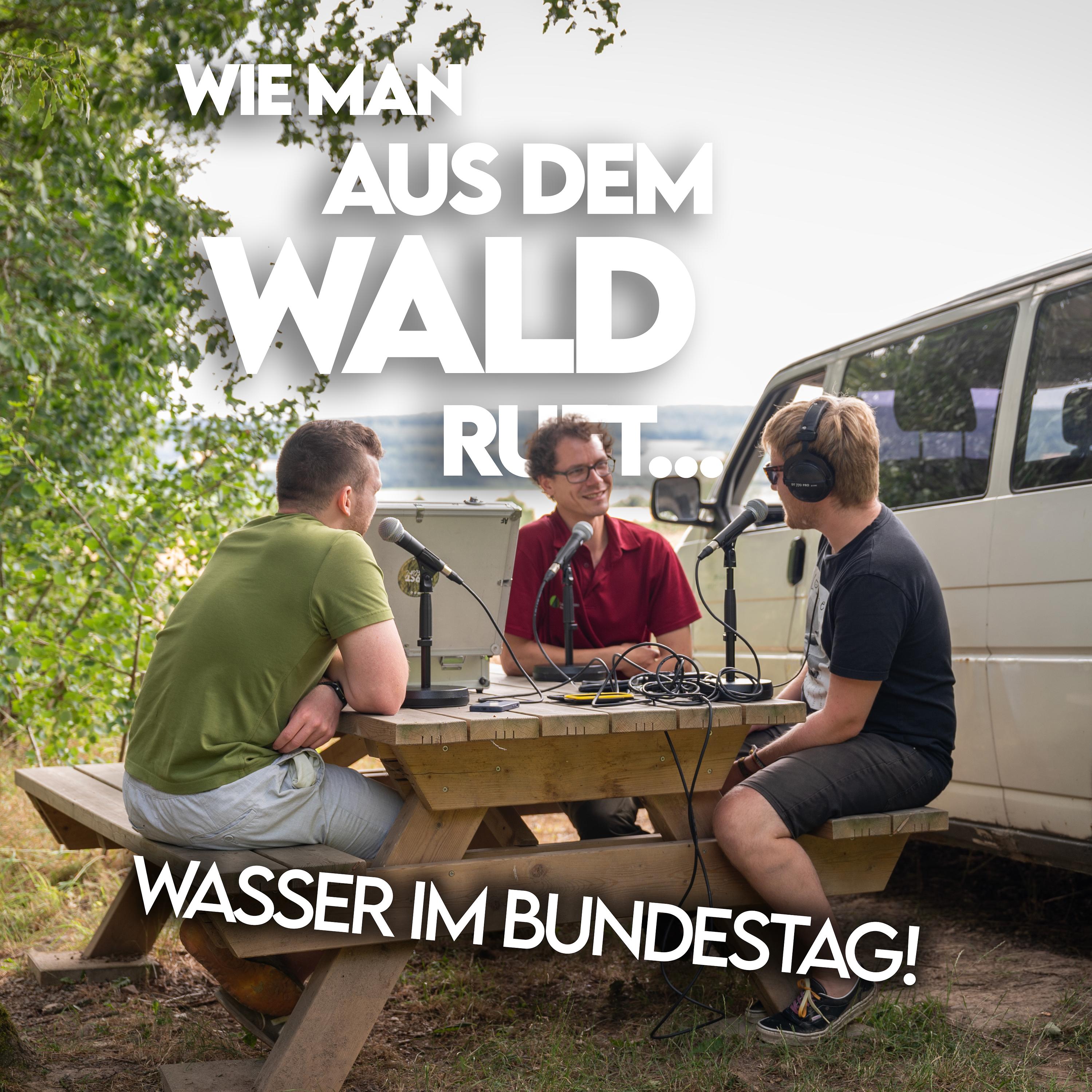 Wie man aus dem Wald ruft...