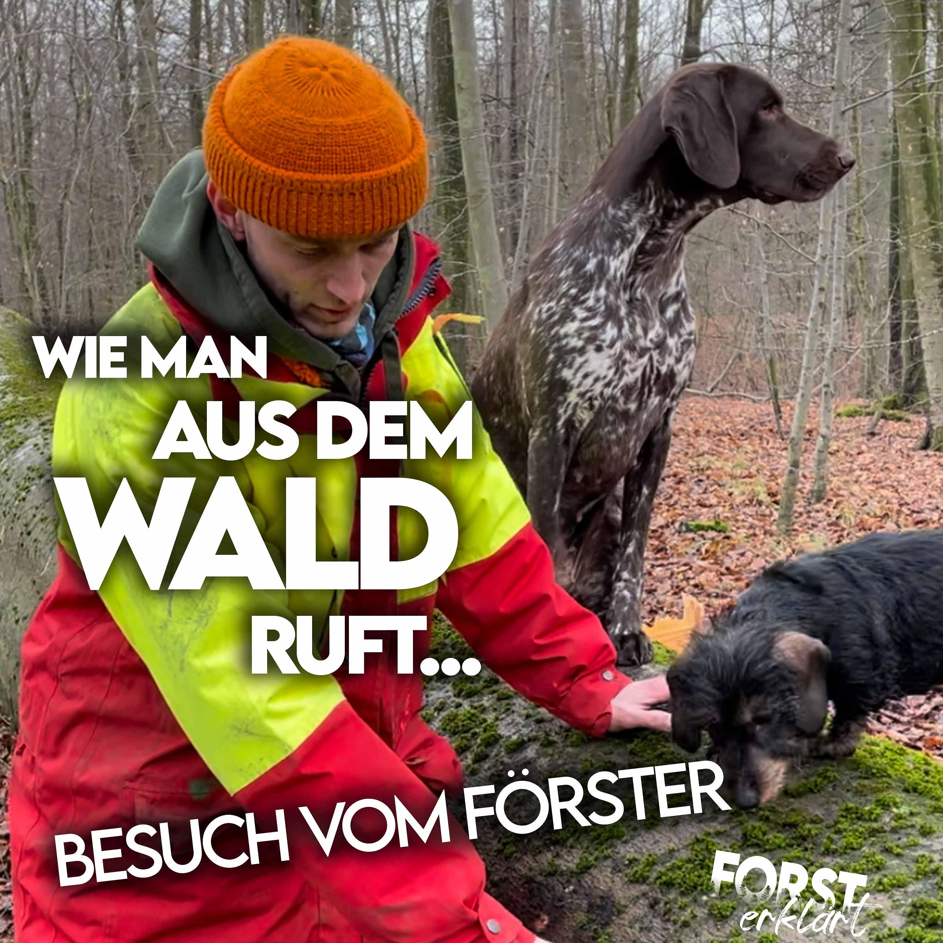 Wie man aus dem Wald ruft...