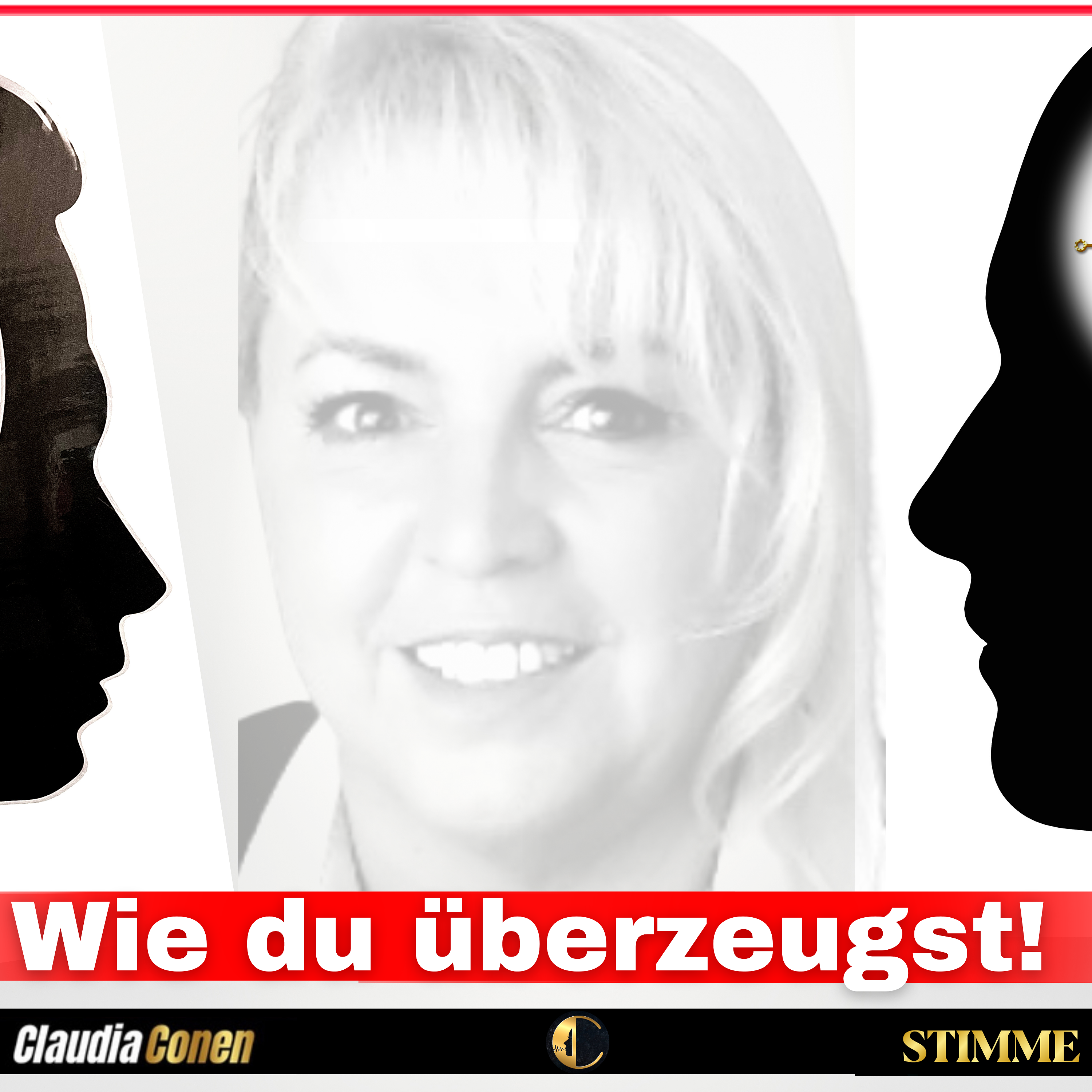 Umsatzstimme - Dein Business Podcast - Gewinnbringend reden