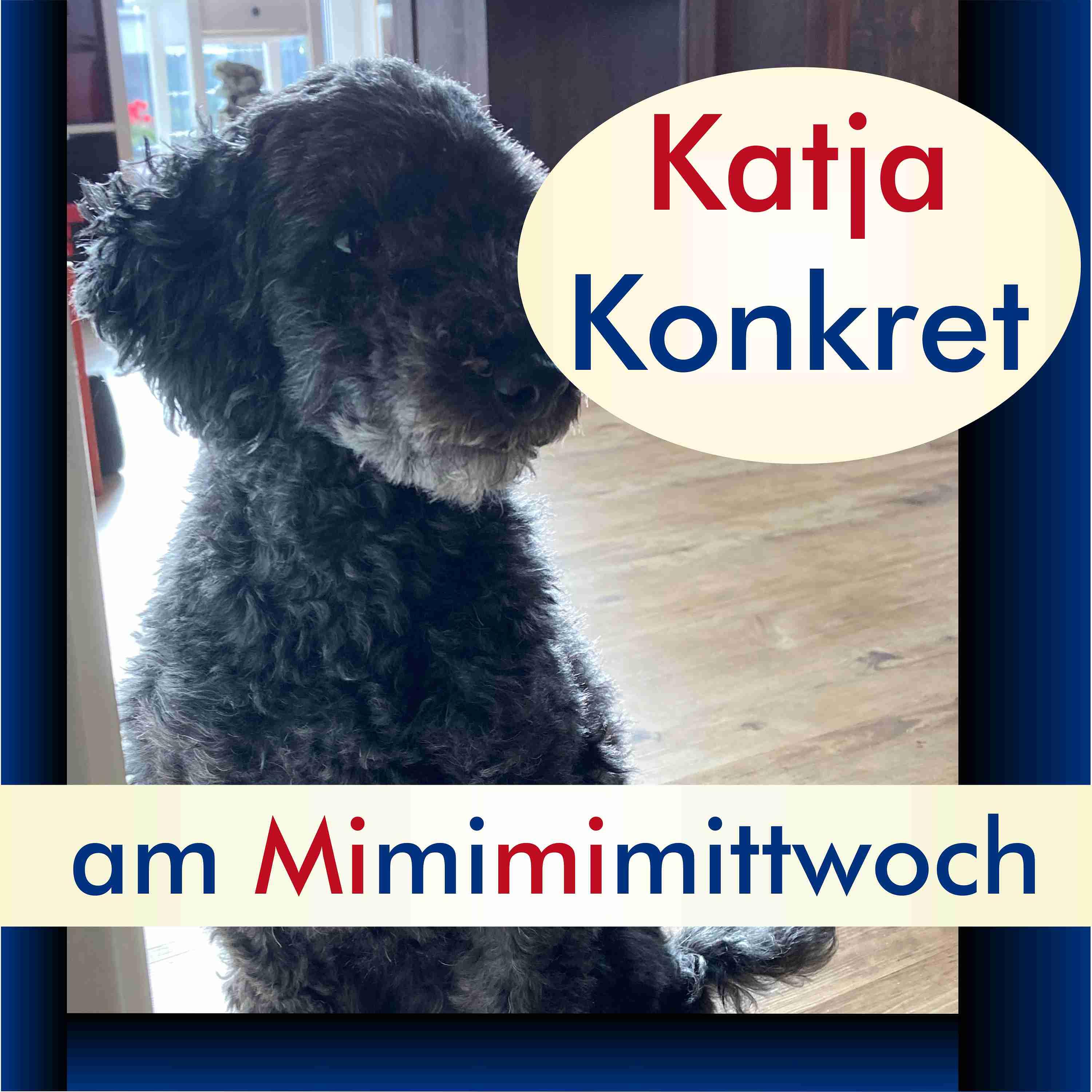 KatjaKonkret am Mimimimittwoch
