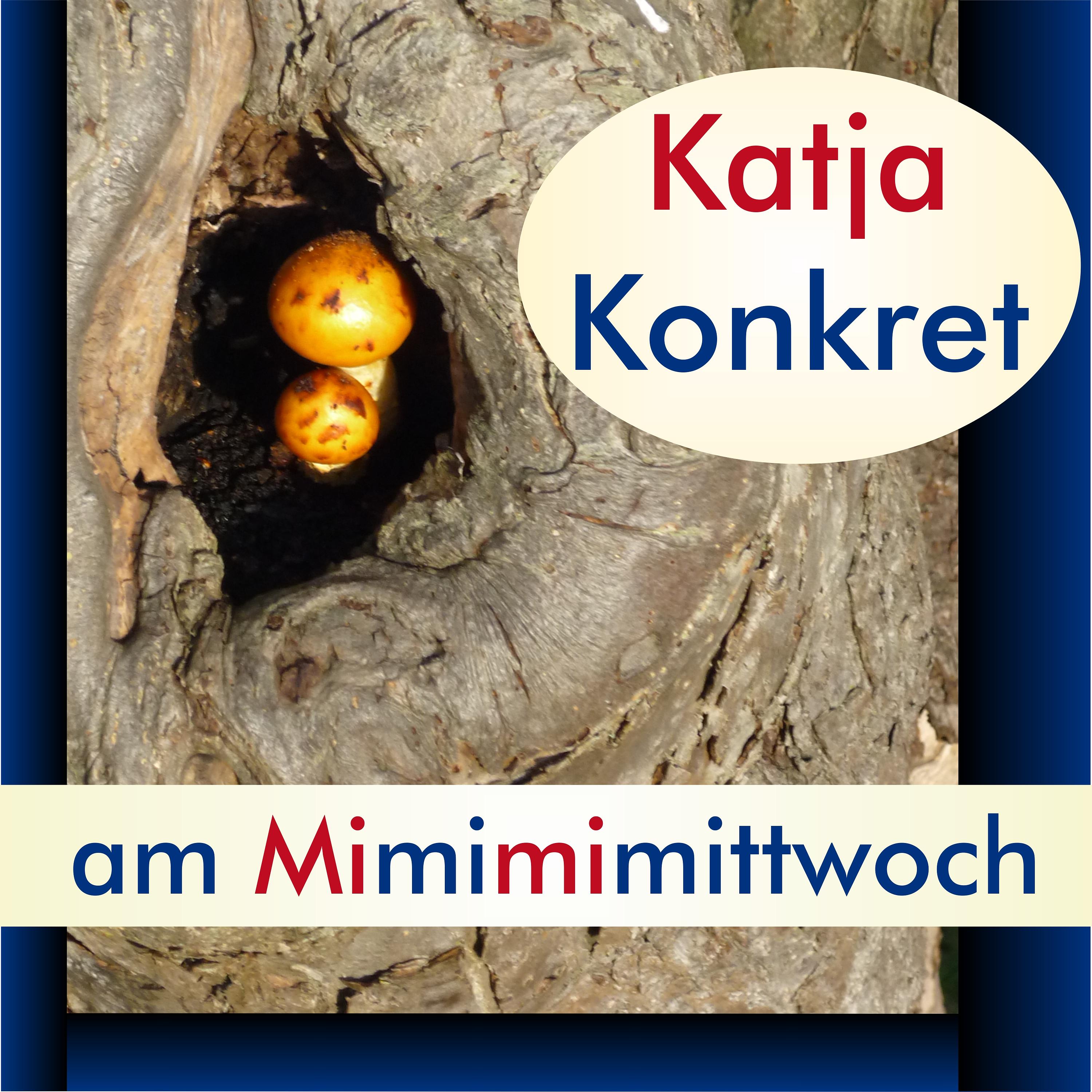 KatjaKonkret am Mimimimittwoch