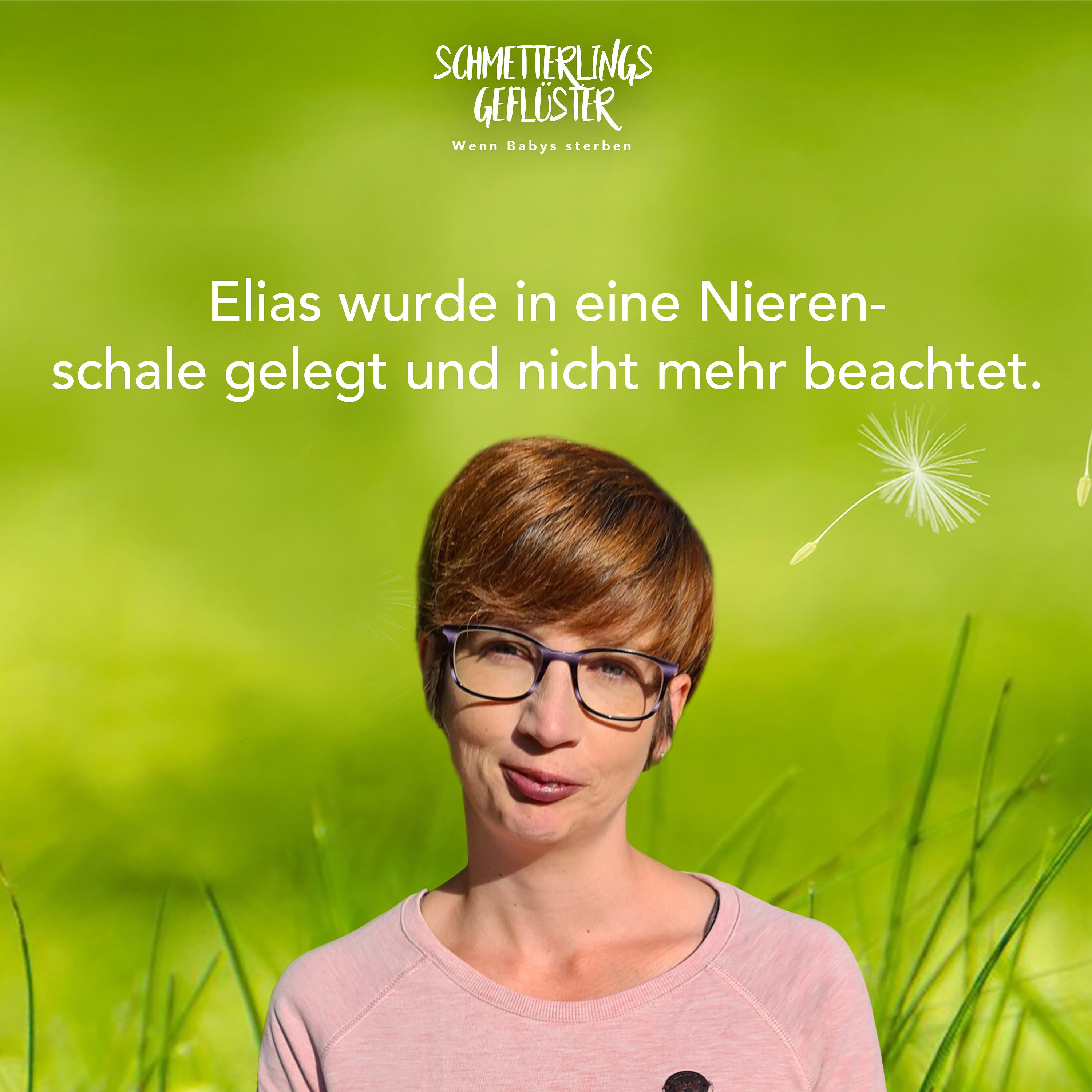 Schmetterlingsgeflüster - wenn Babys sterben